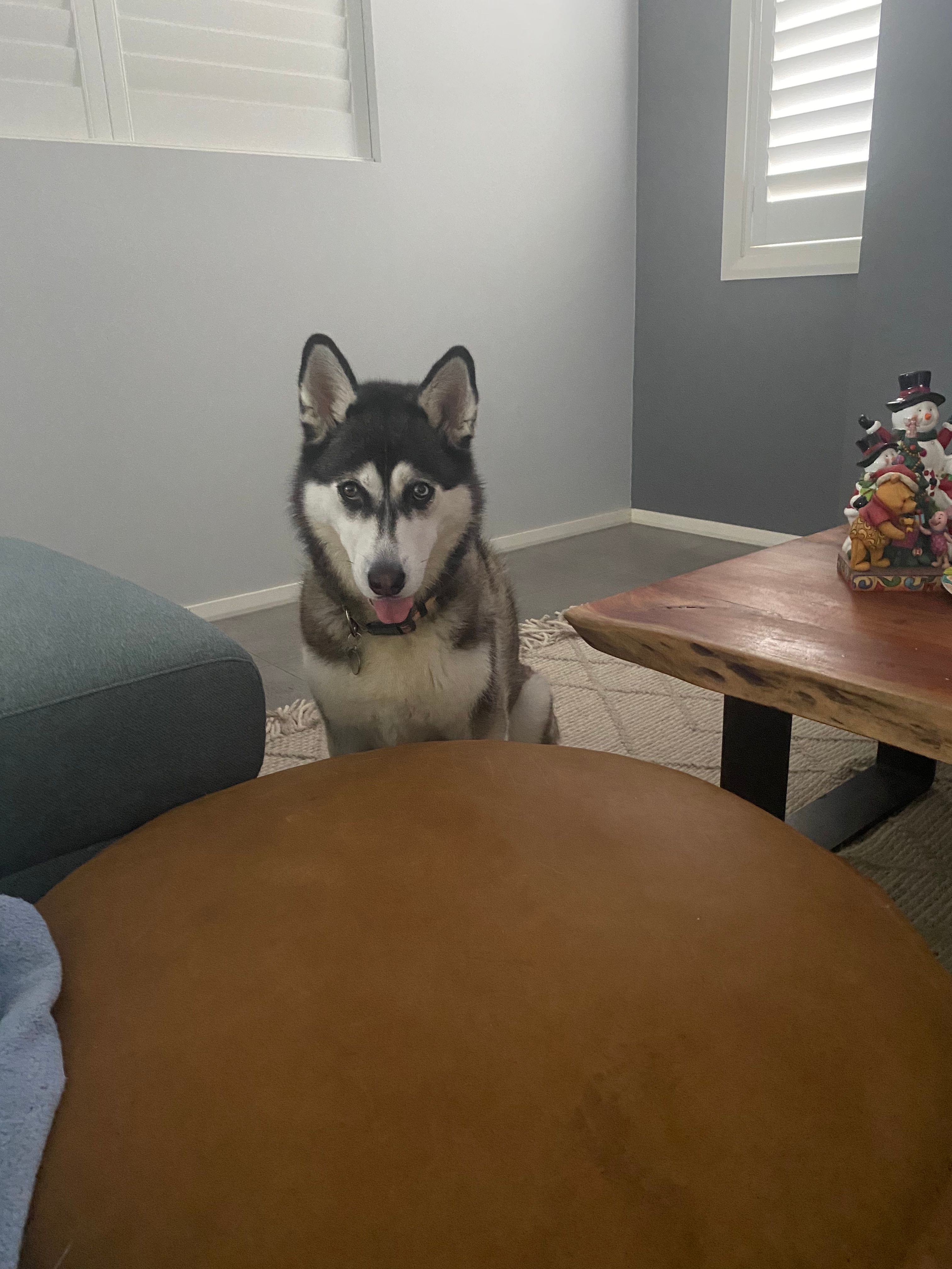 image-3