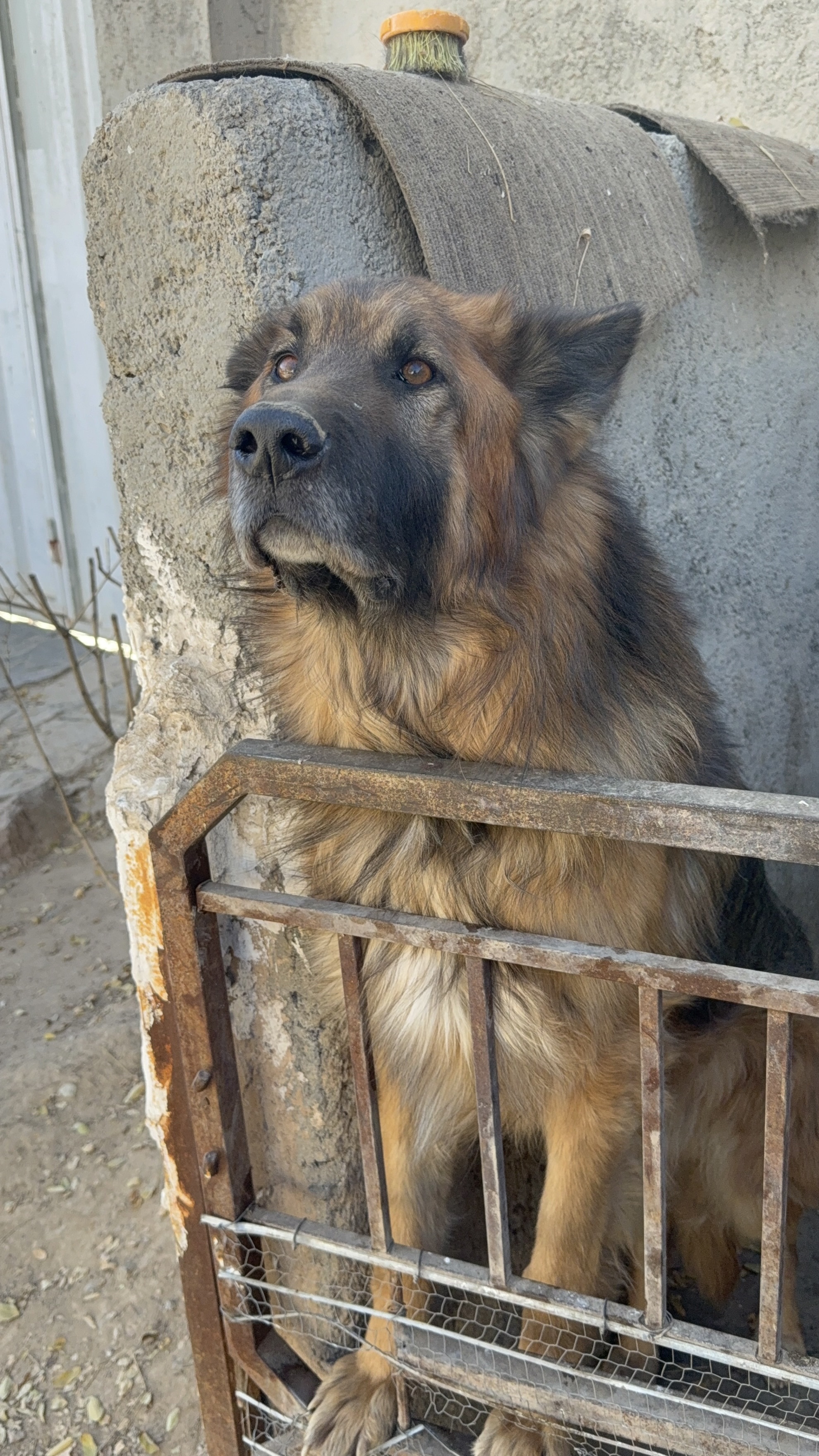image-5