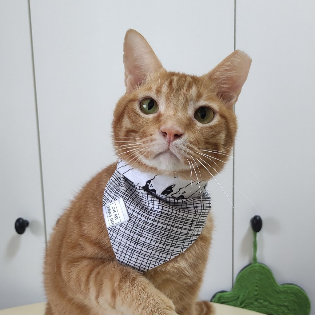 Sir Alfredo Butter Balen