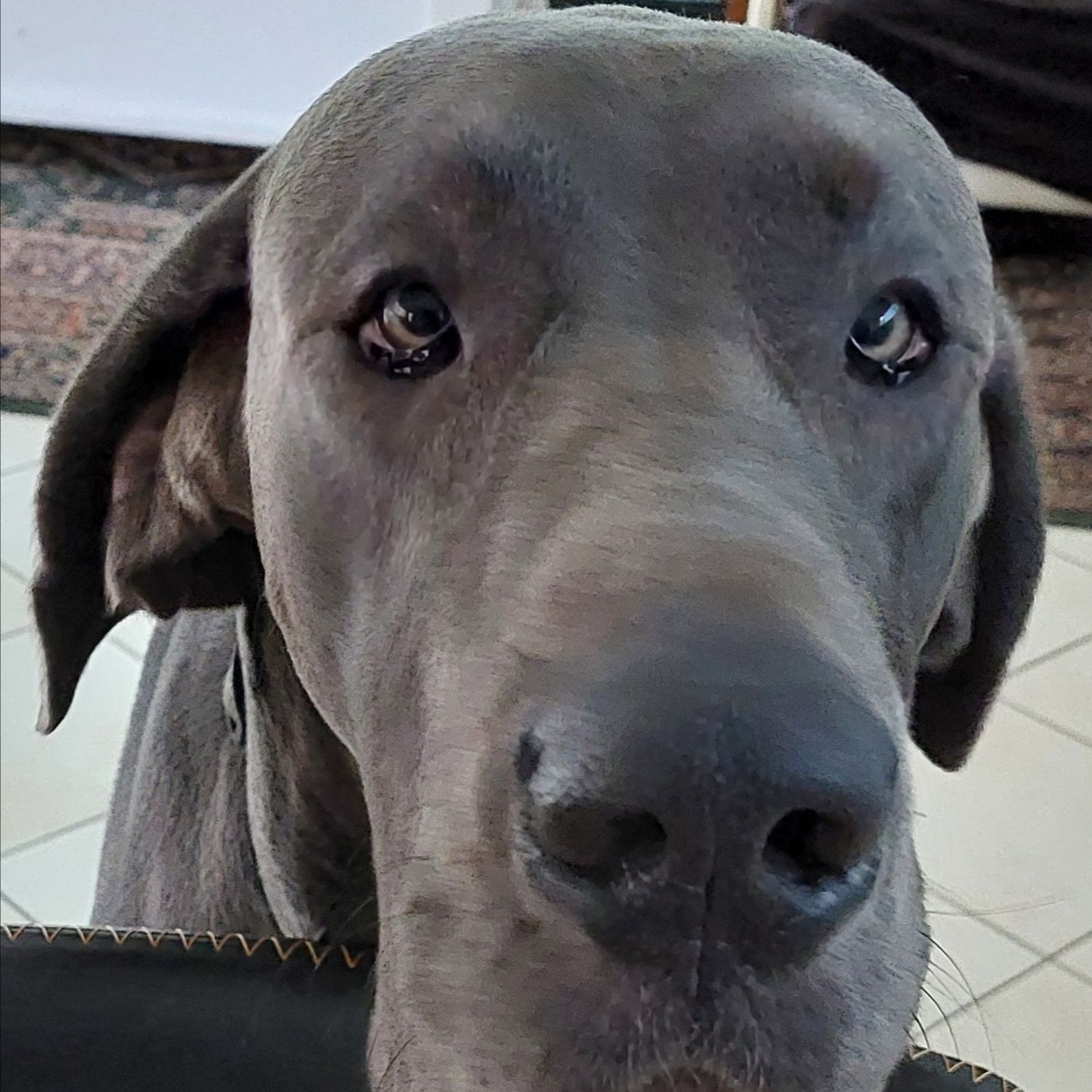 Odin Benjamin 
