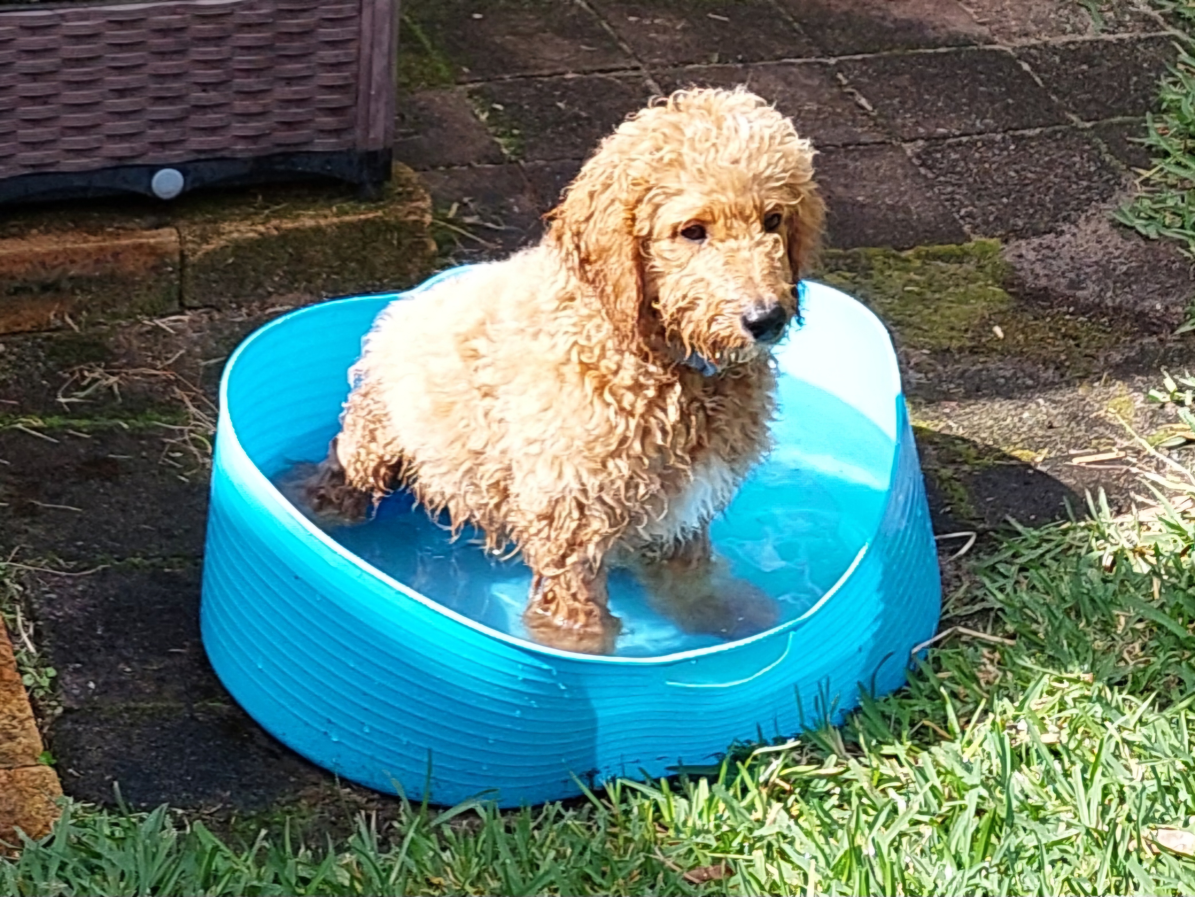 image-34
