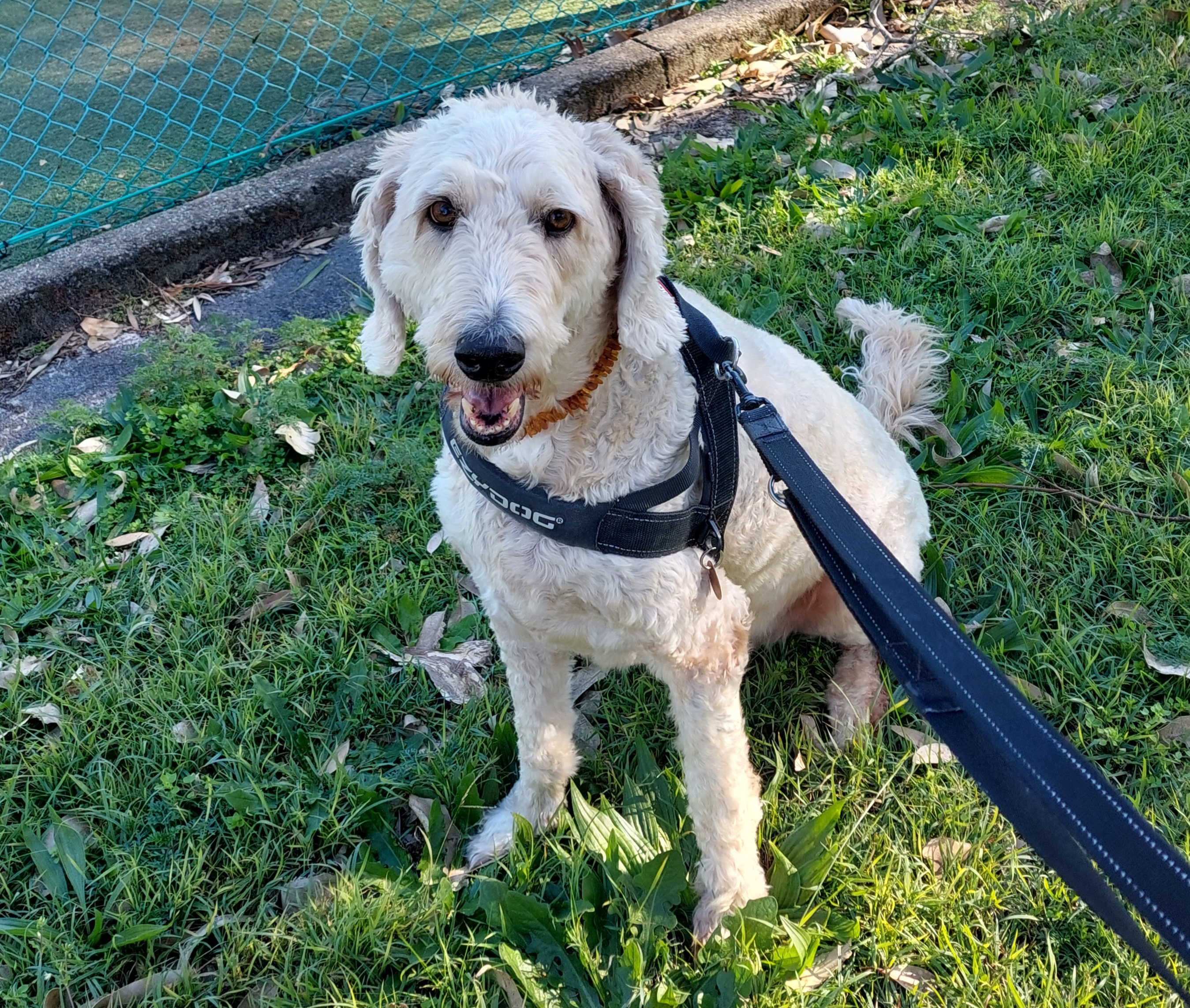 image-39
