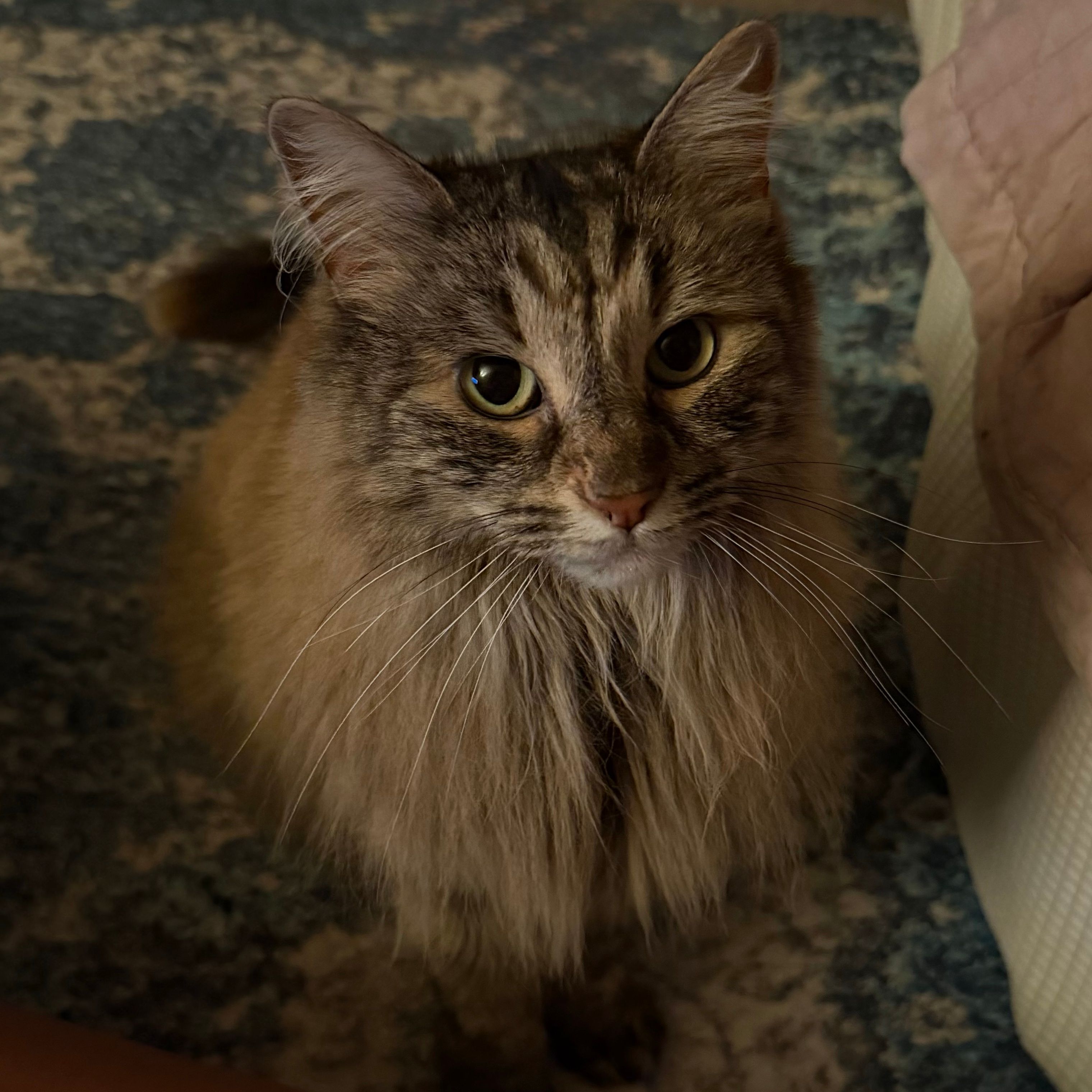 Precious