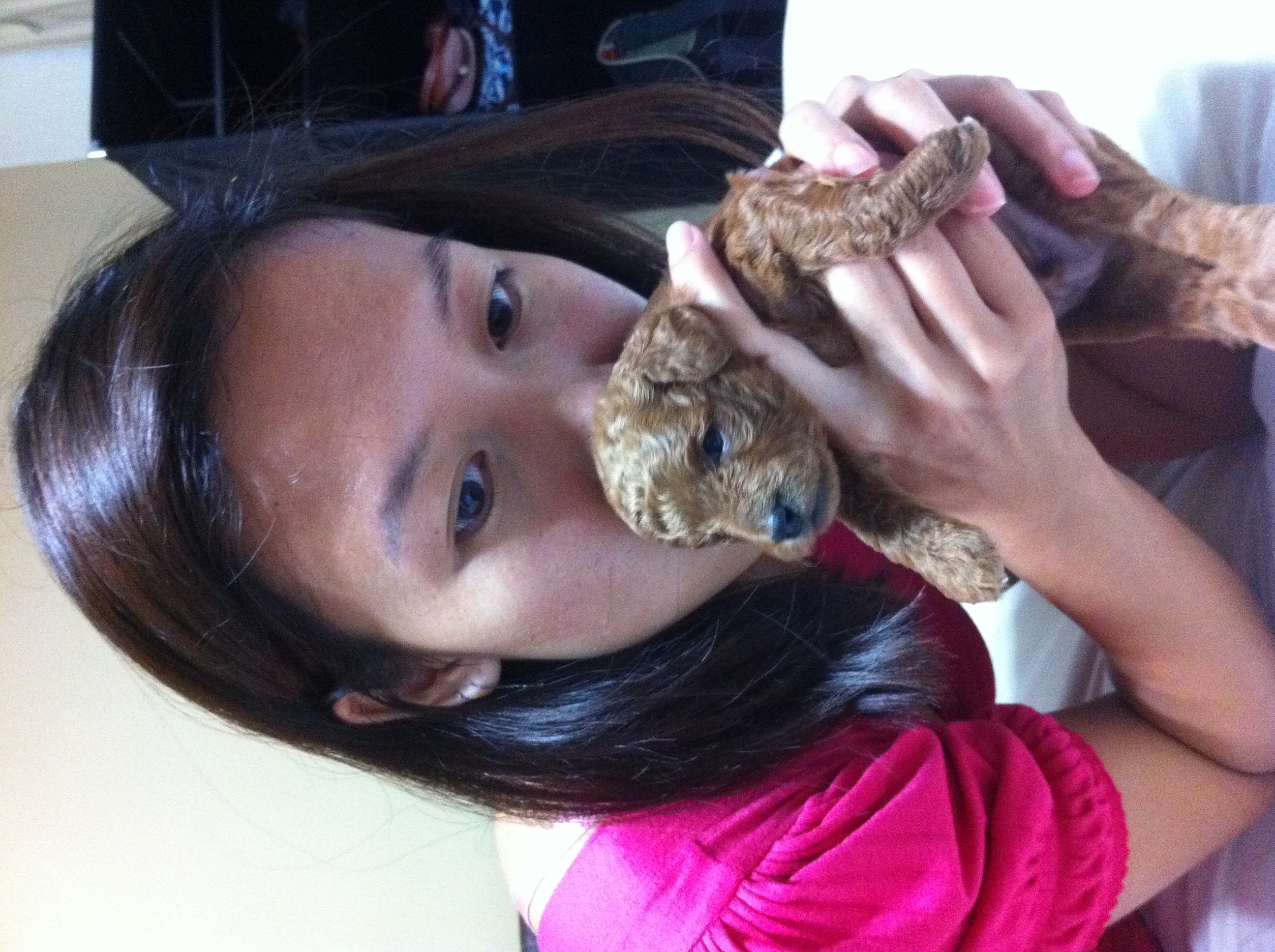 image-10