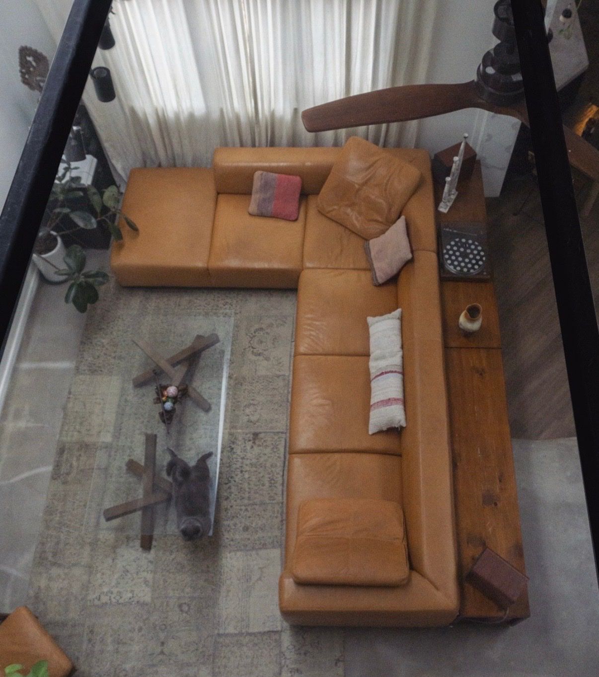 image-11
