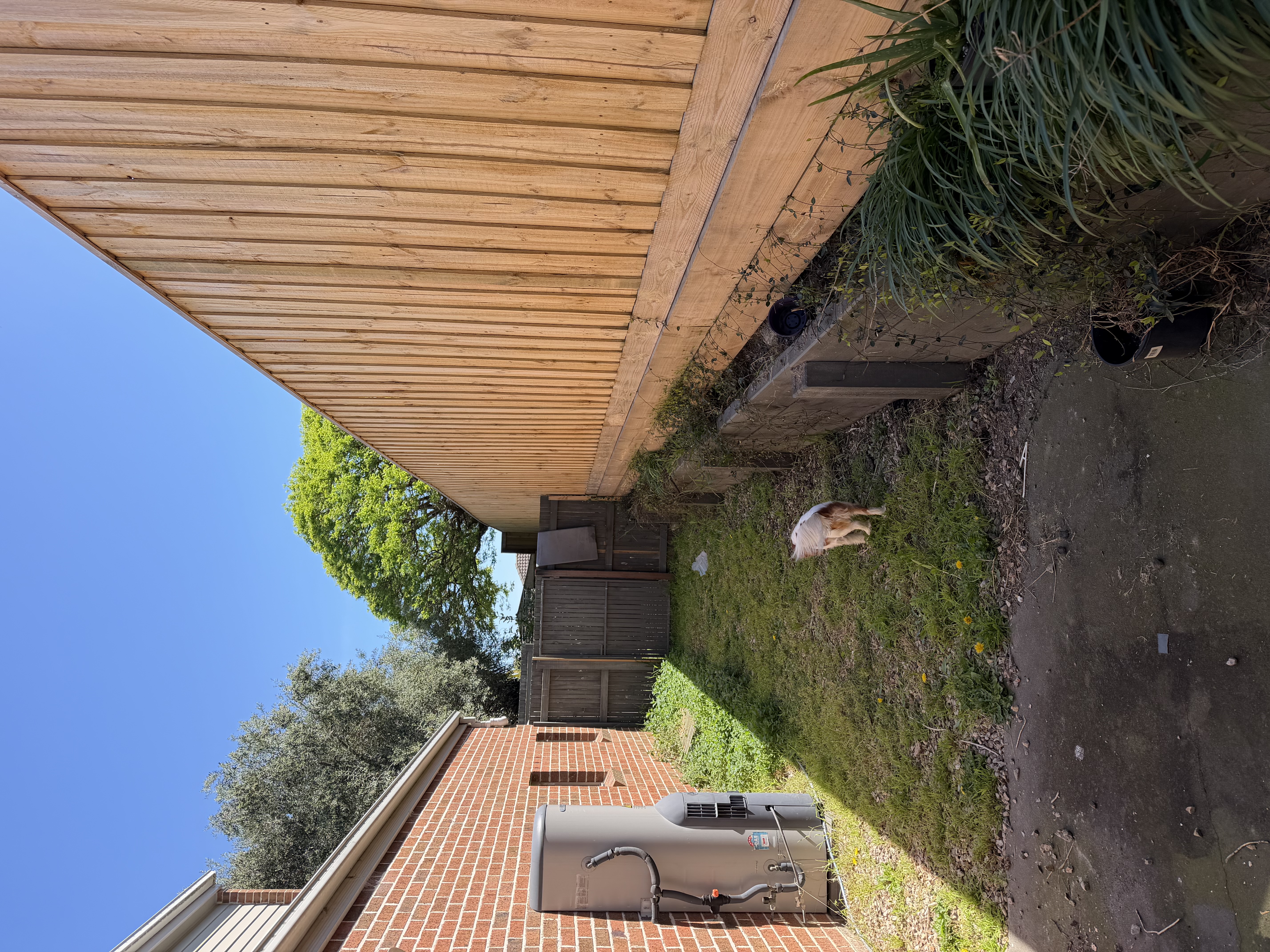 image-8