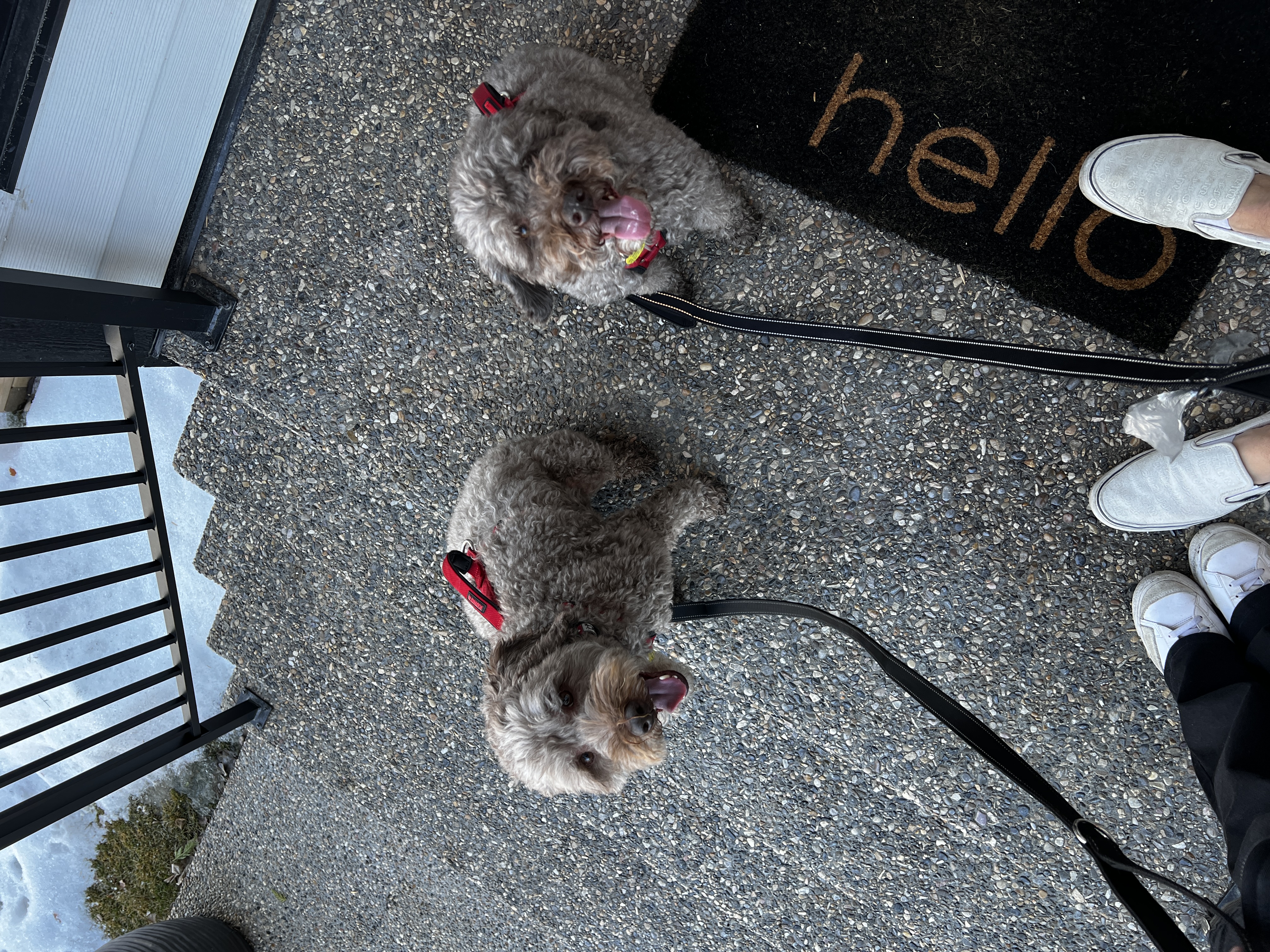 image-7