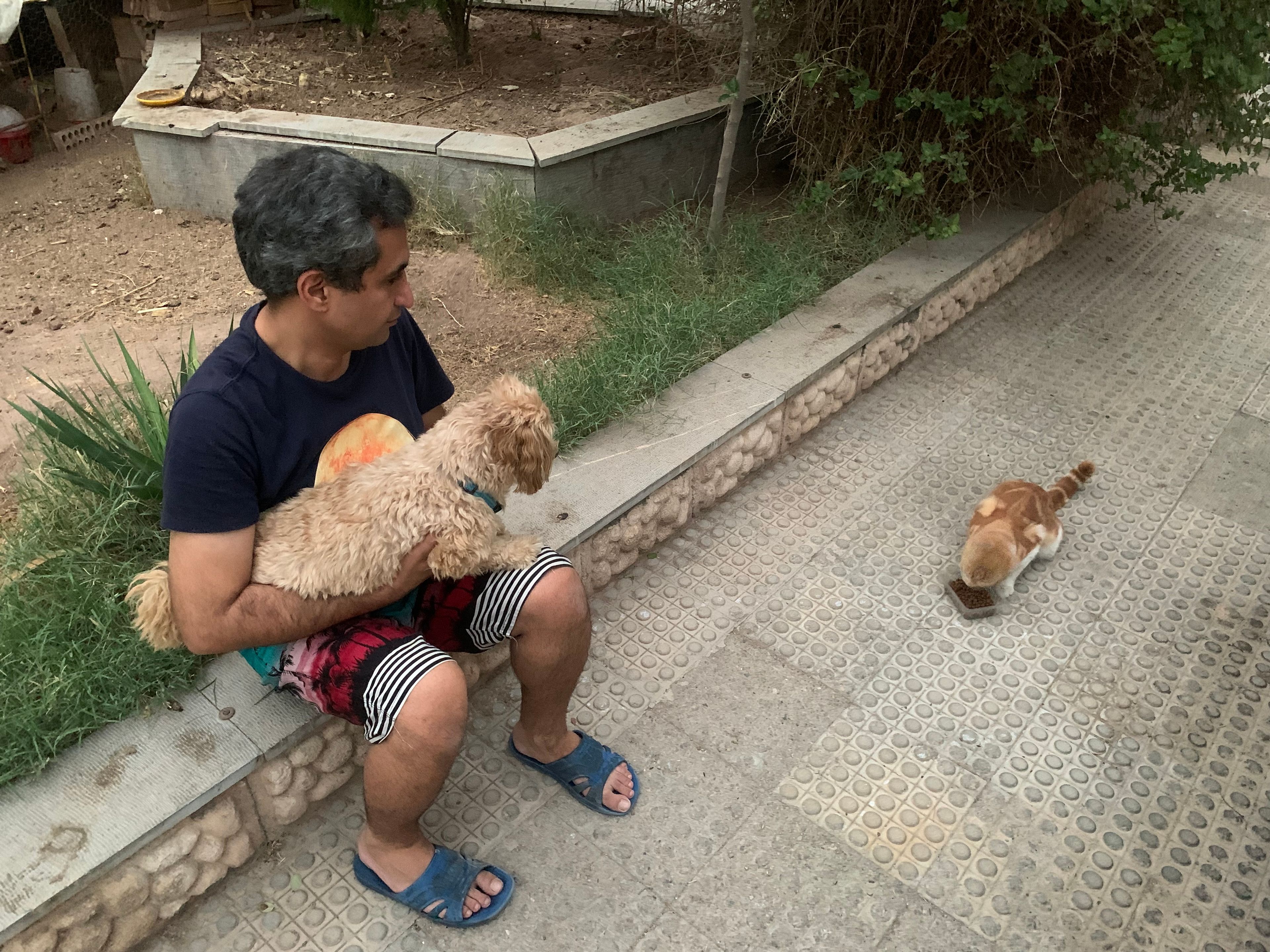 image-10