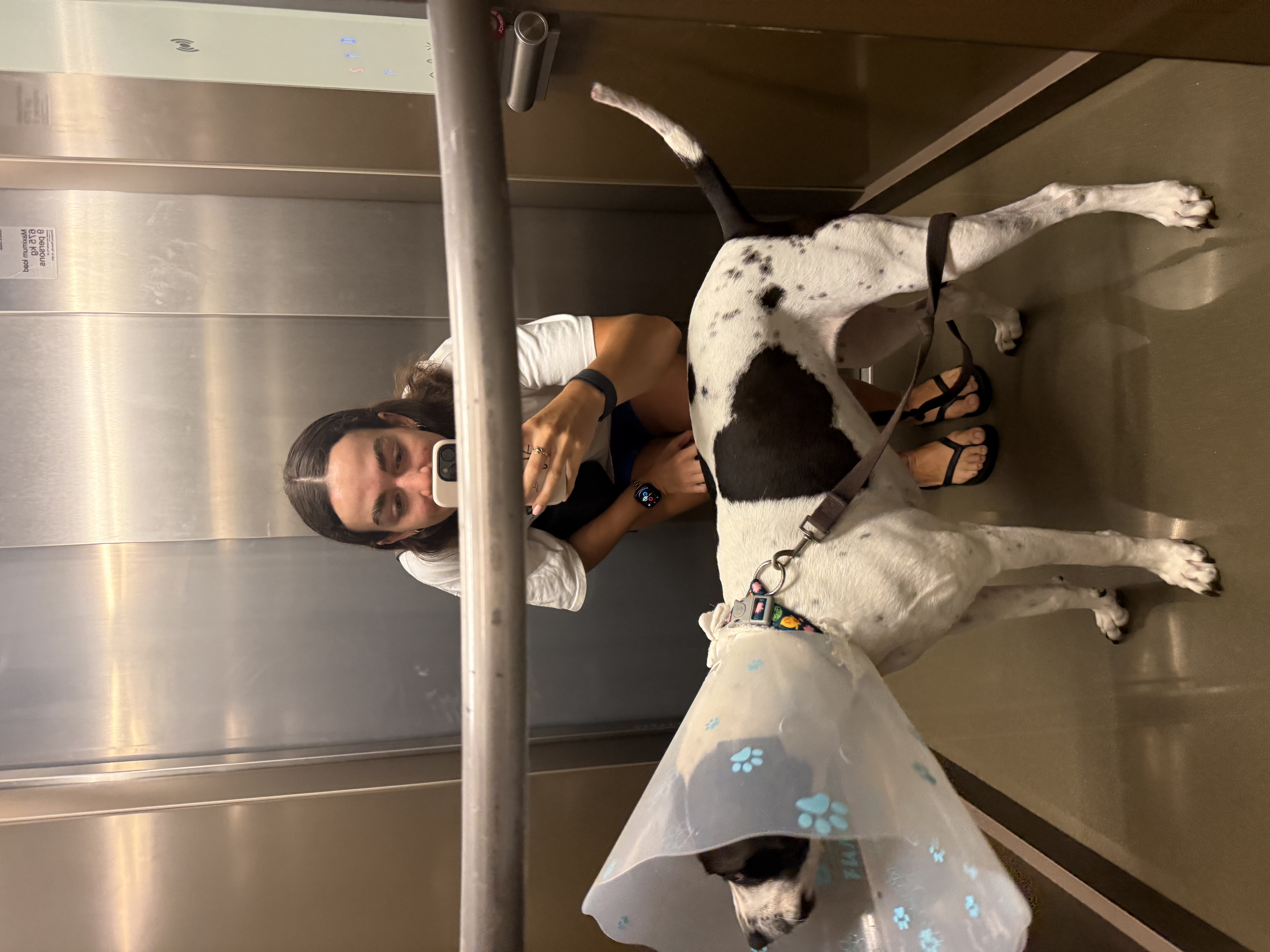 image-5