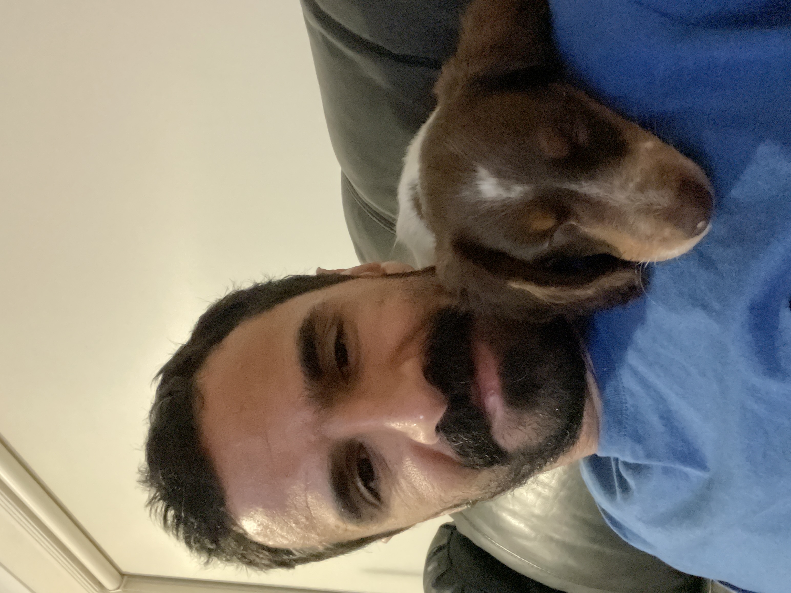 image-6
