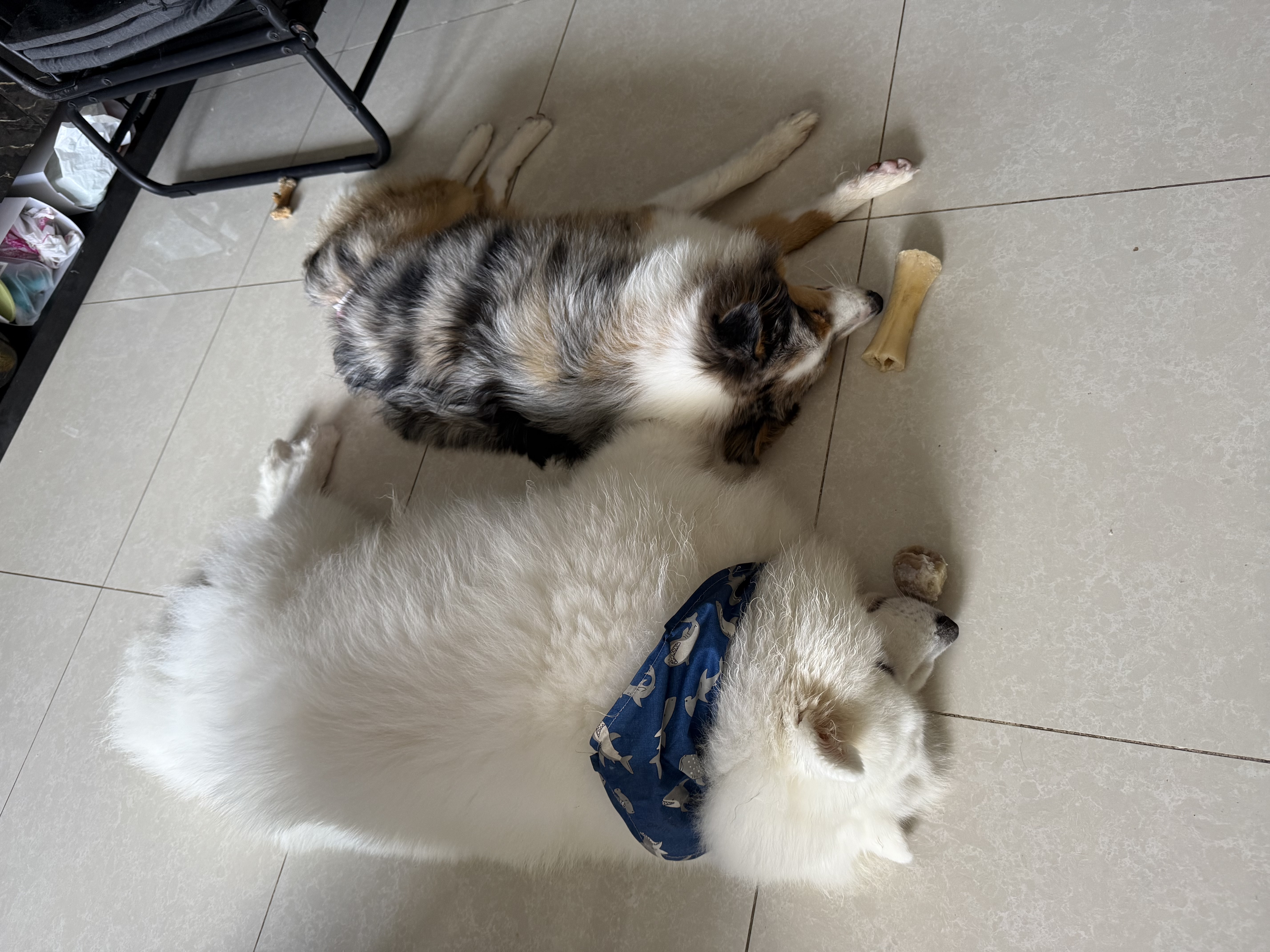 image-15