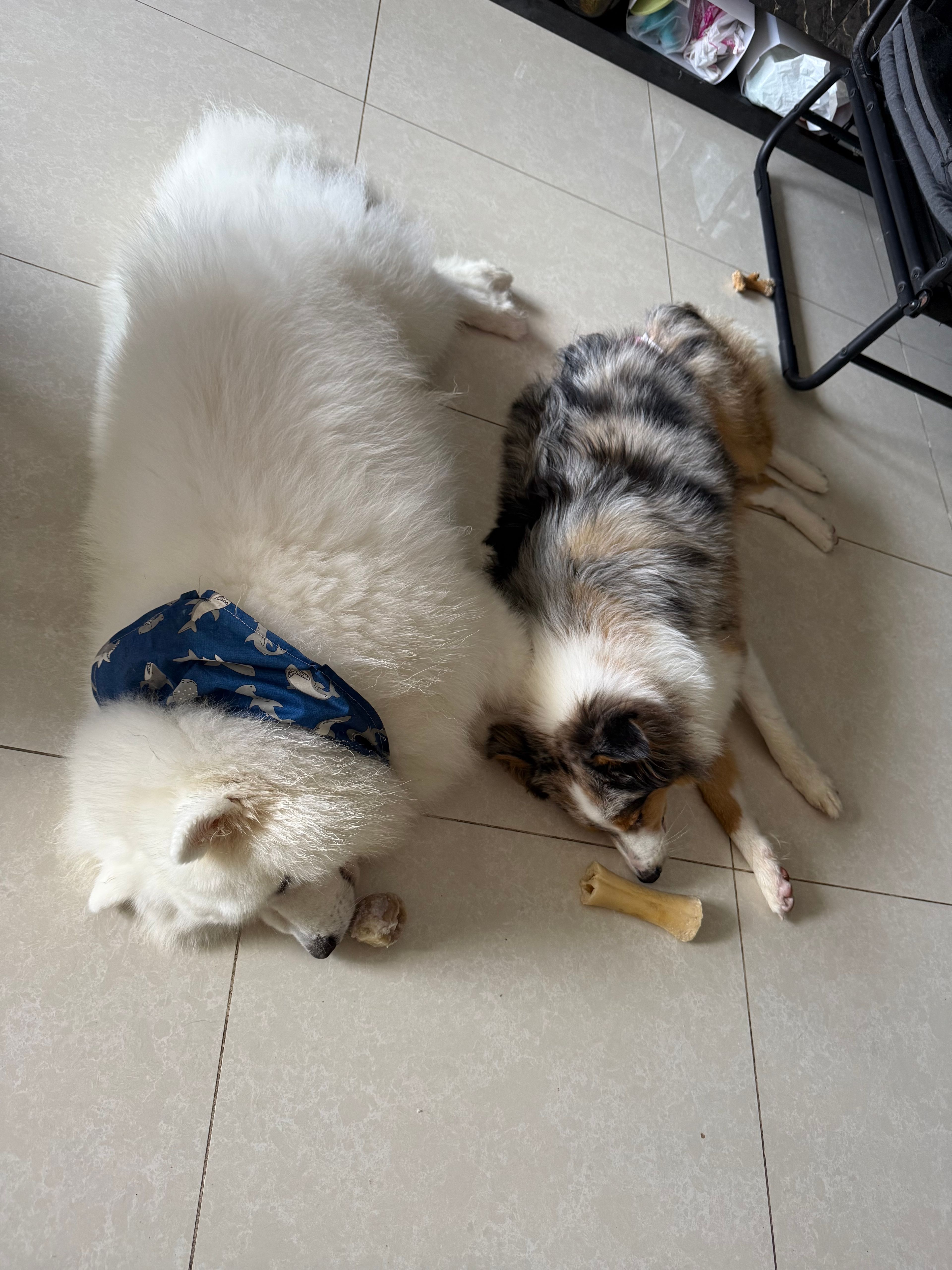 image-15