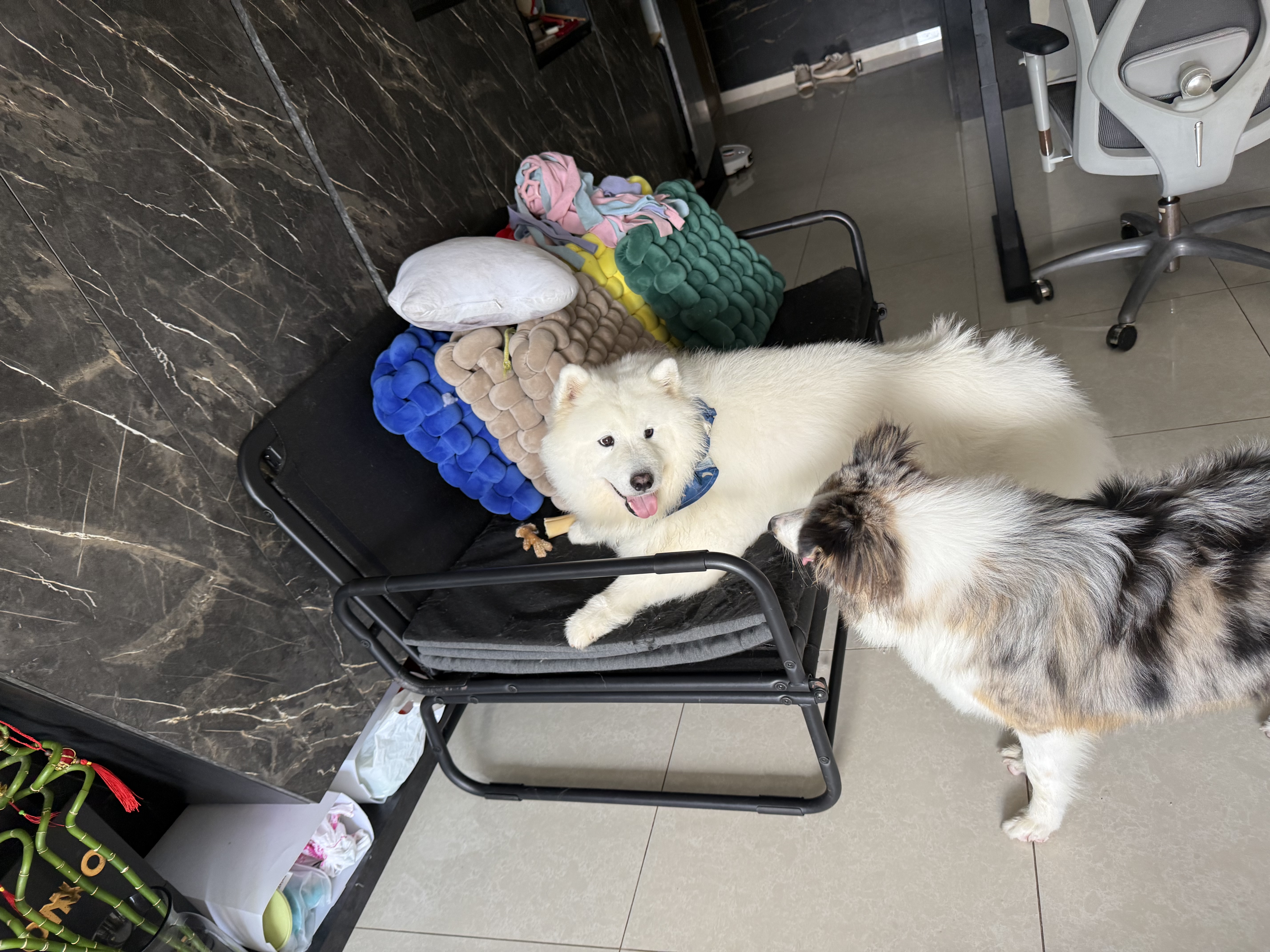 image-29