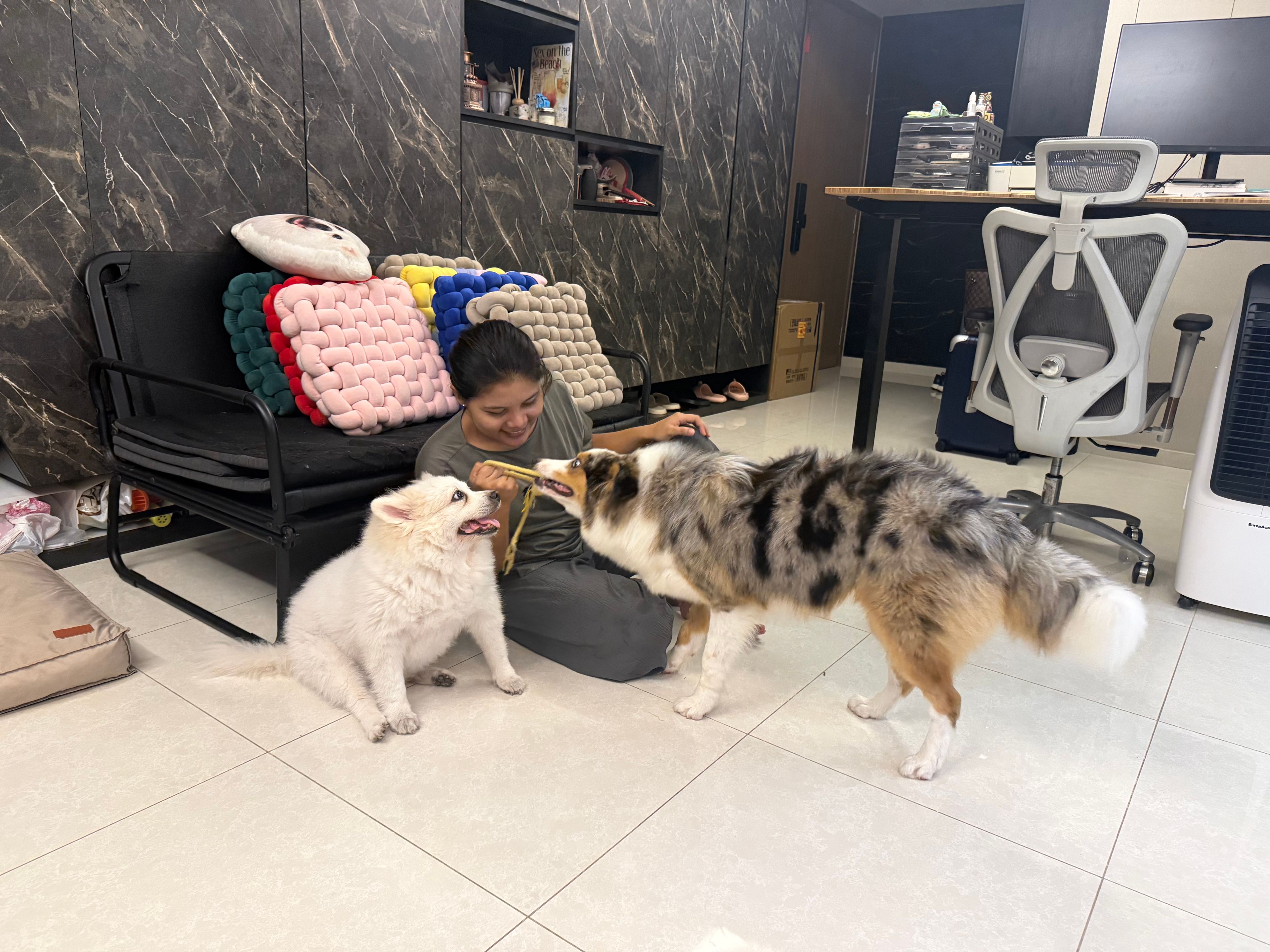 image-11