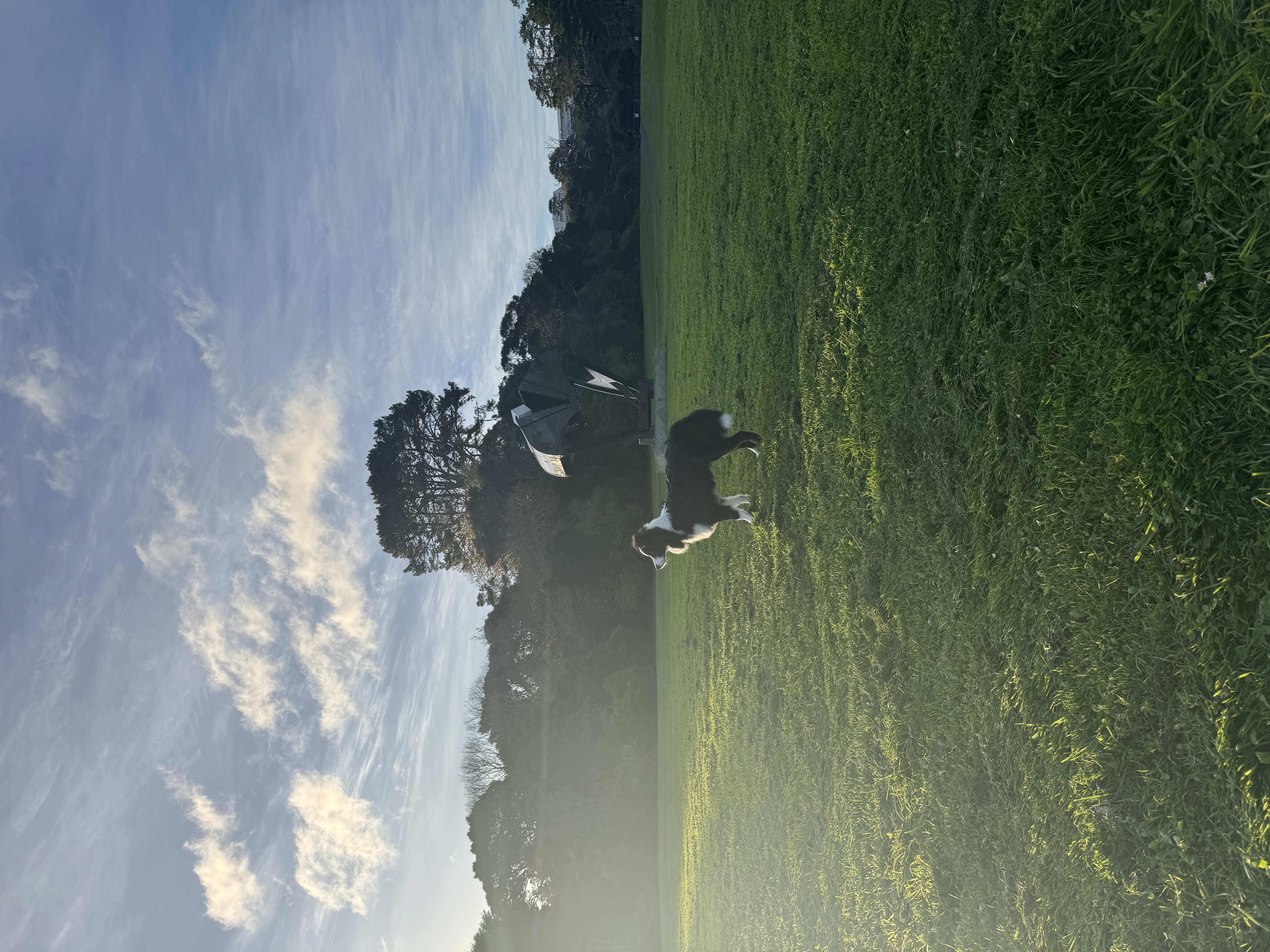 image-16