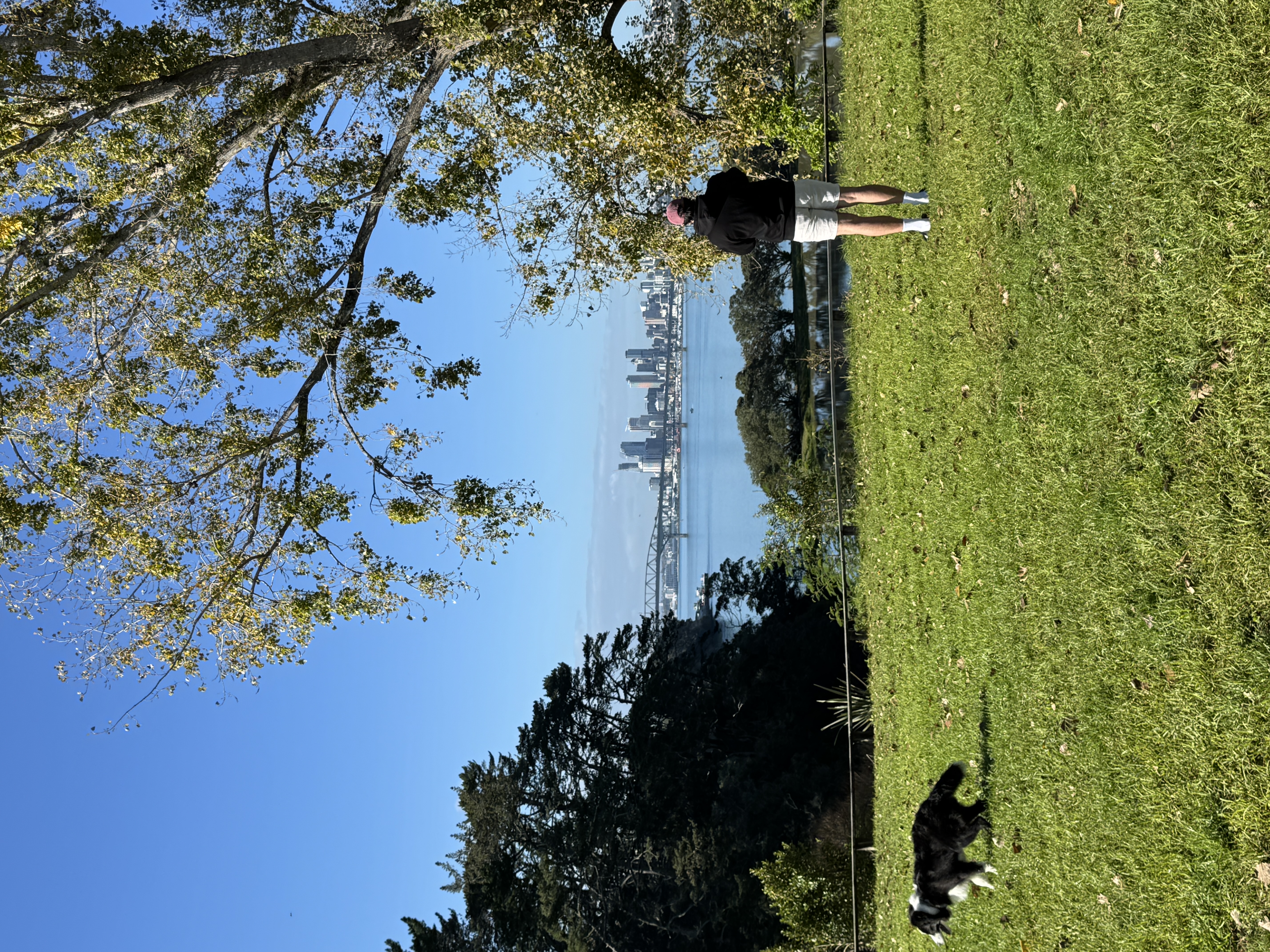 image-17