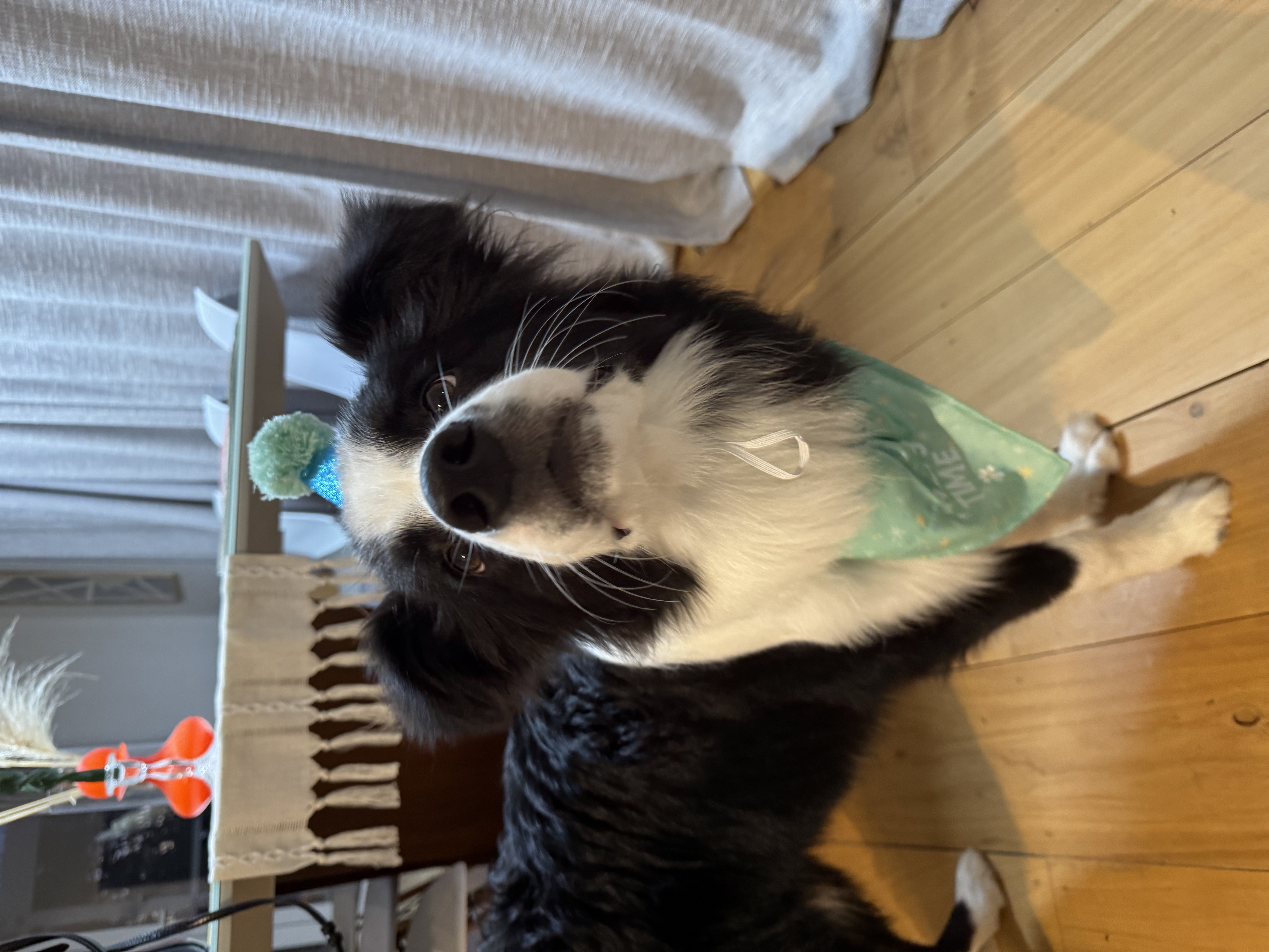 image-7