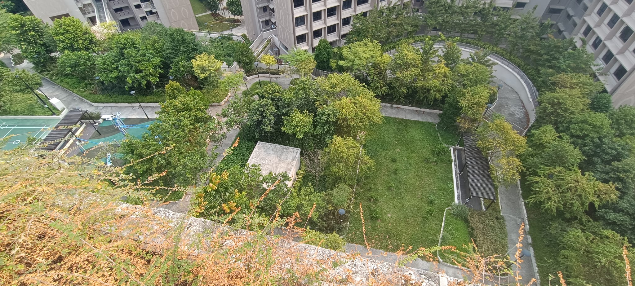 image-12