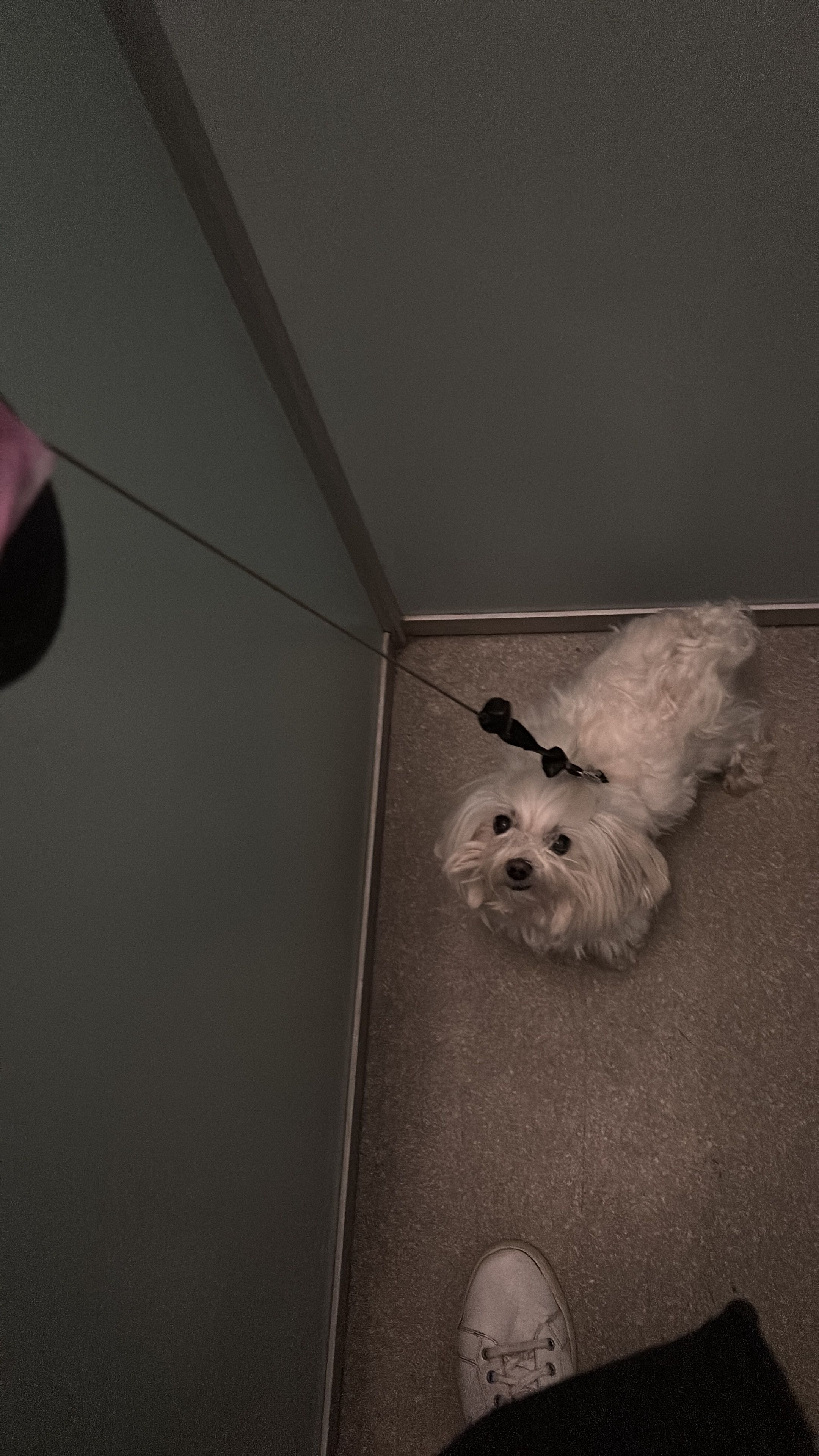 image-3