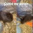 Peter