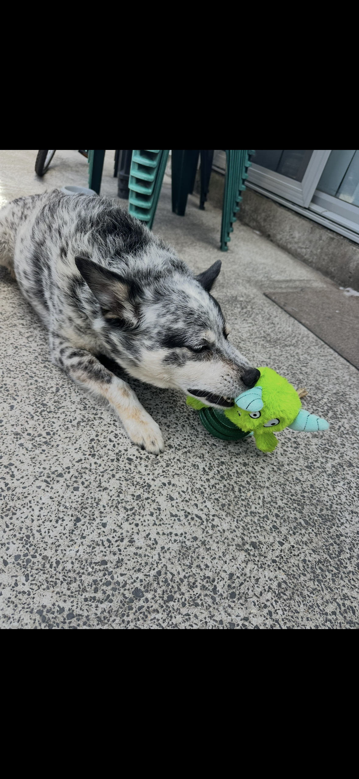 image-8