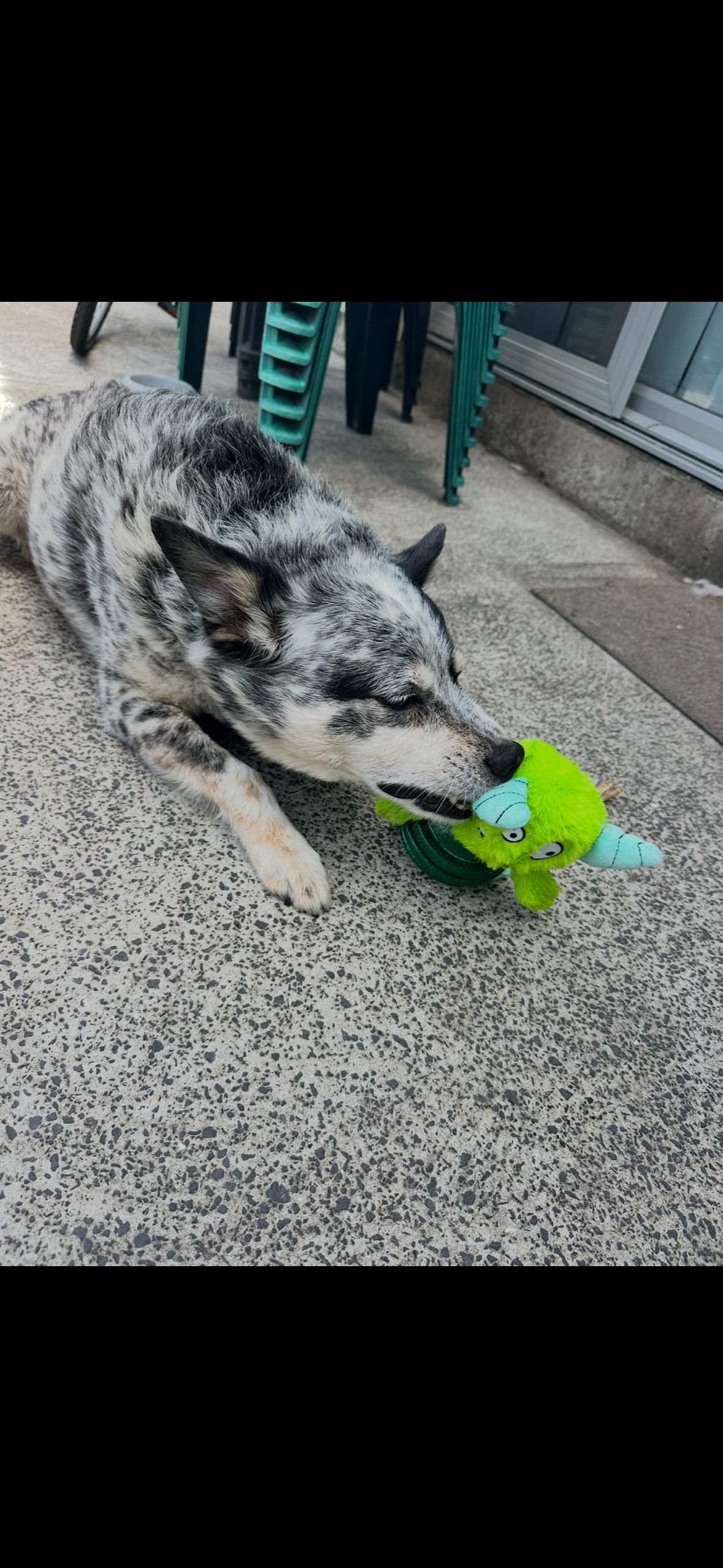 image-8
