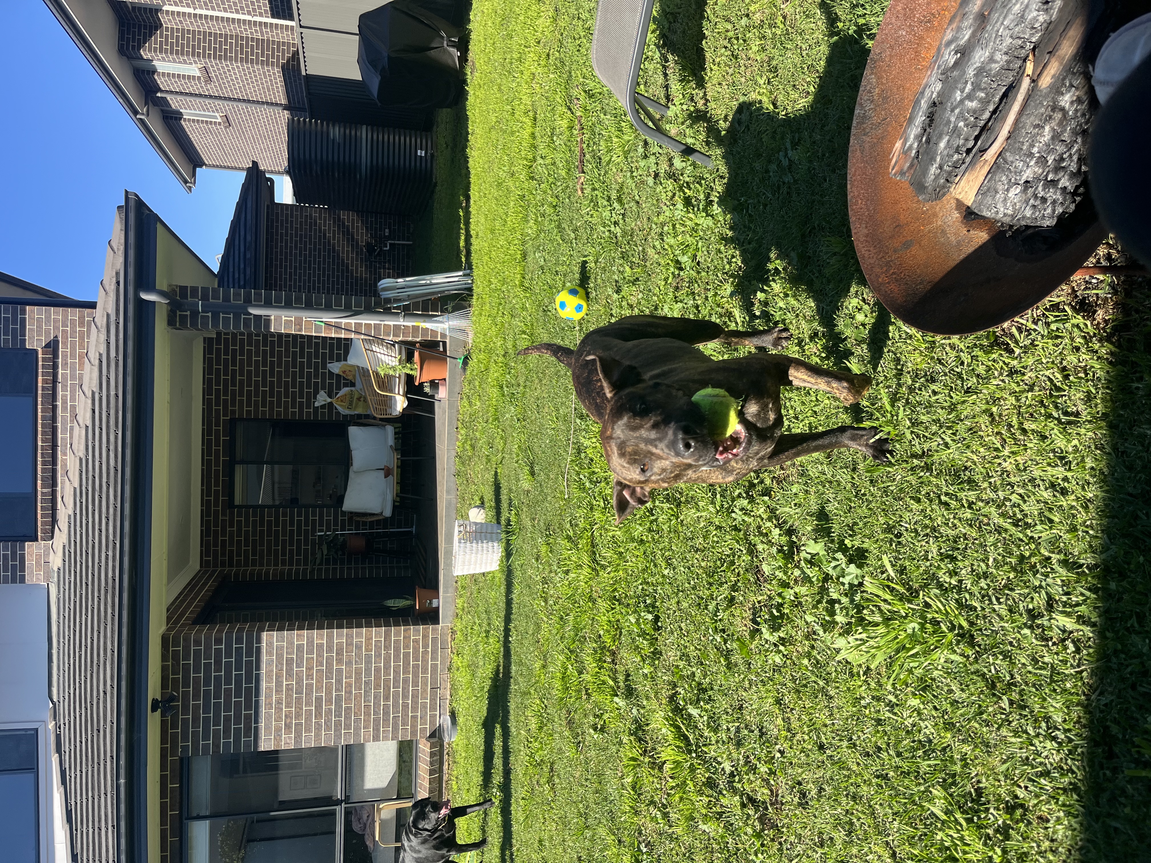 image-16