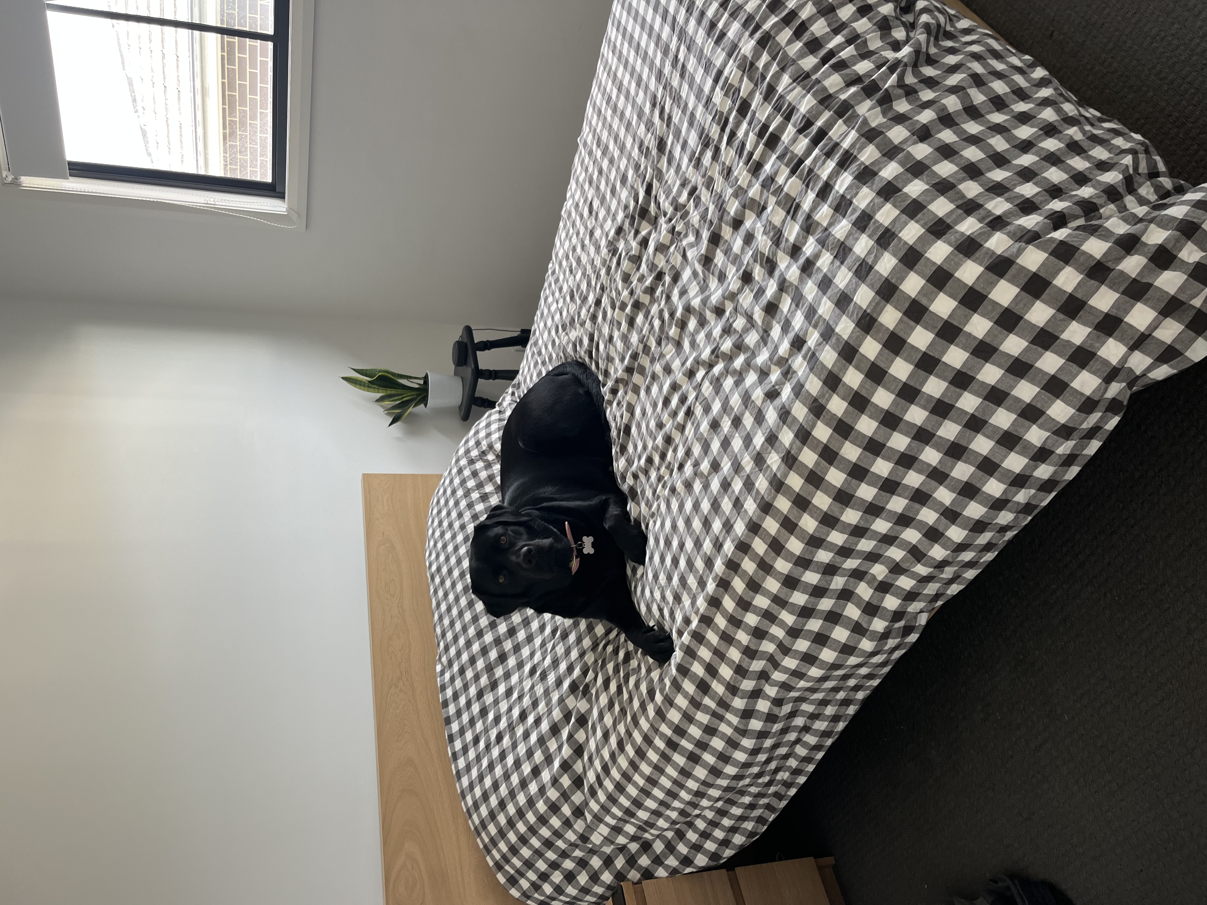 image-14
