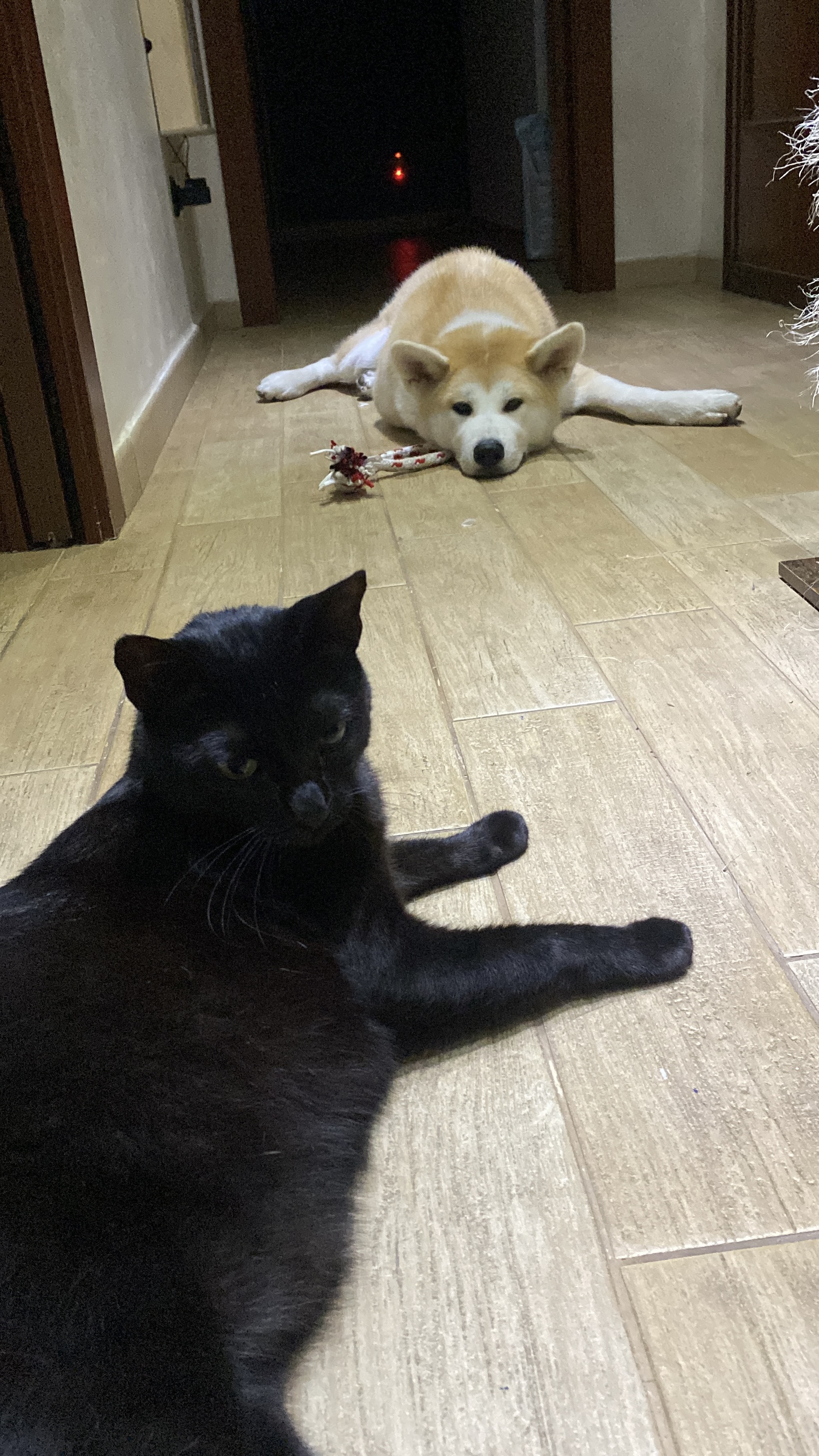 image-7