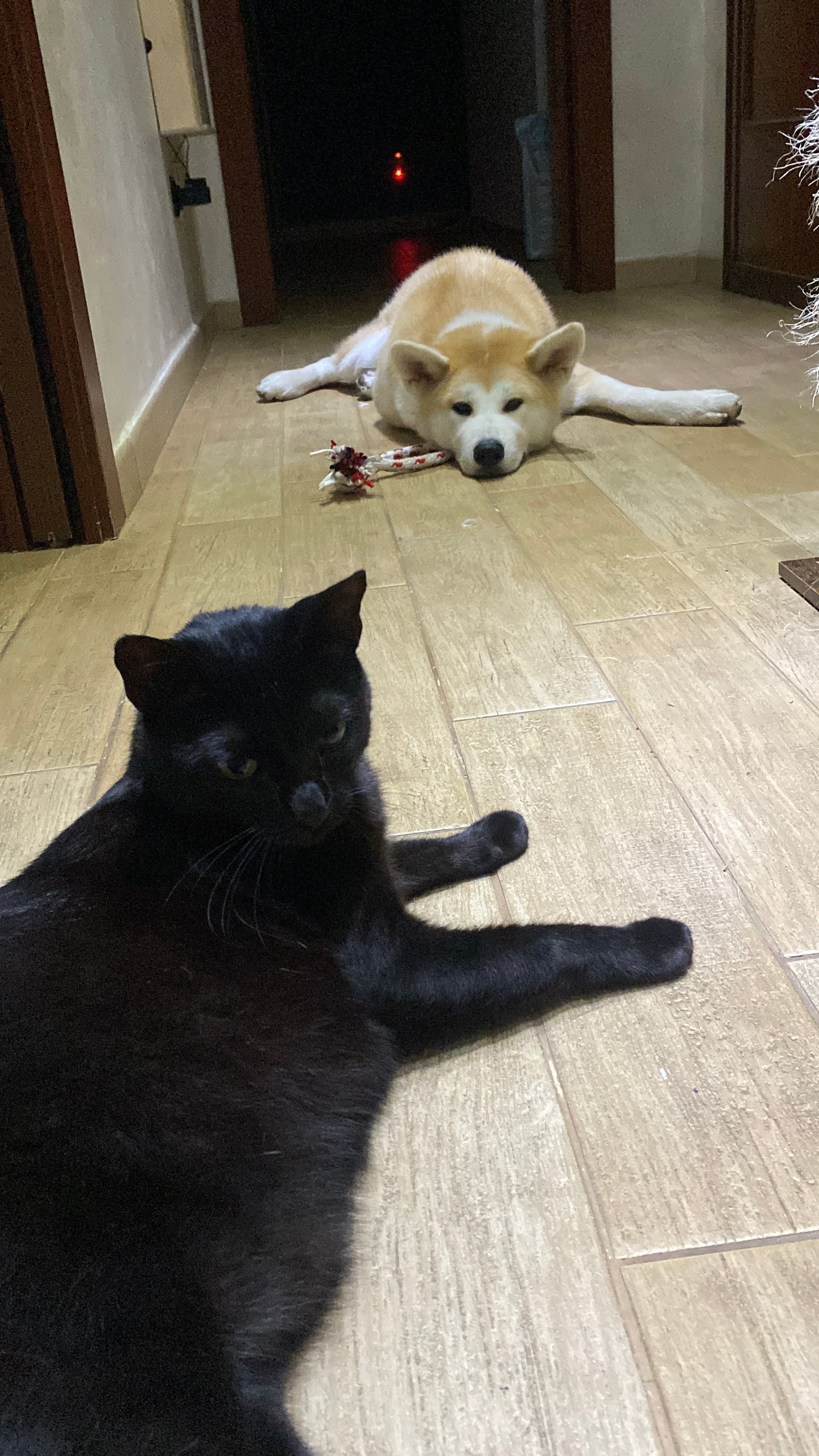 image-7