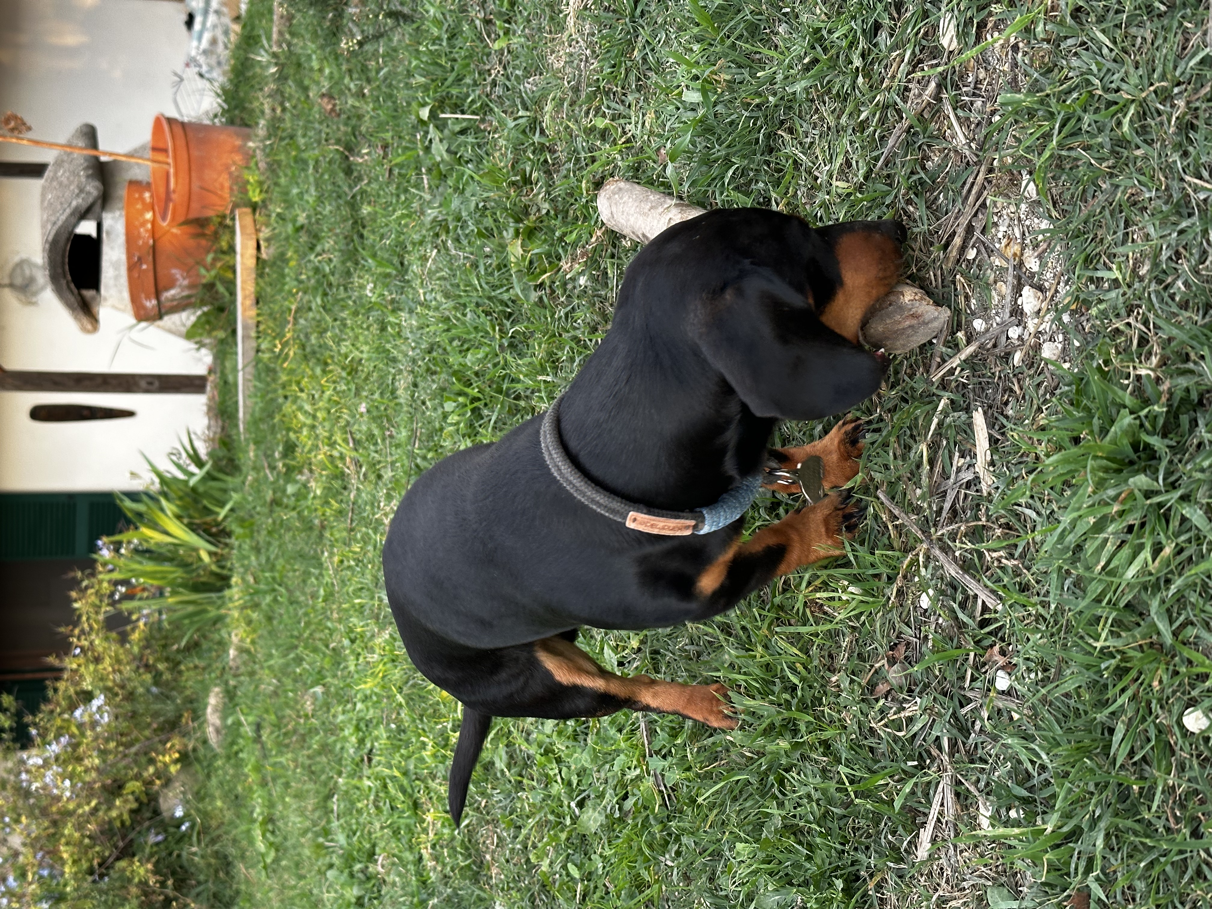 image-10