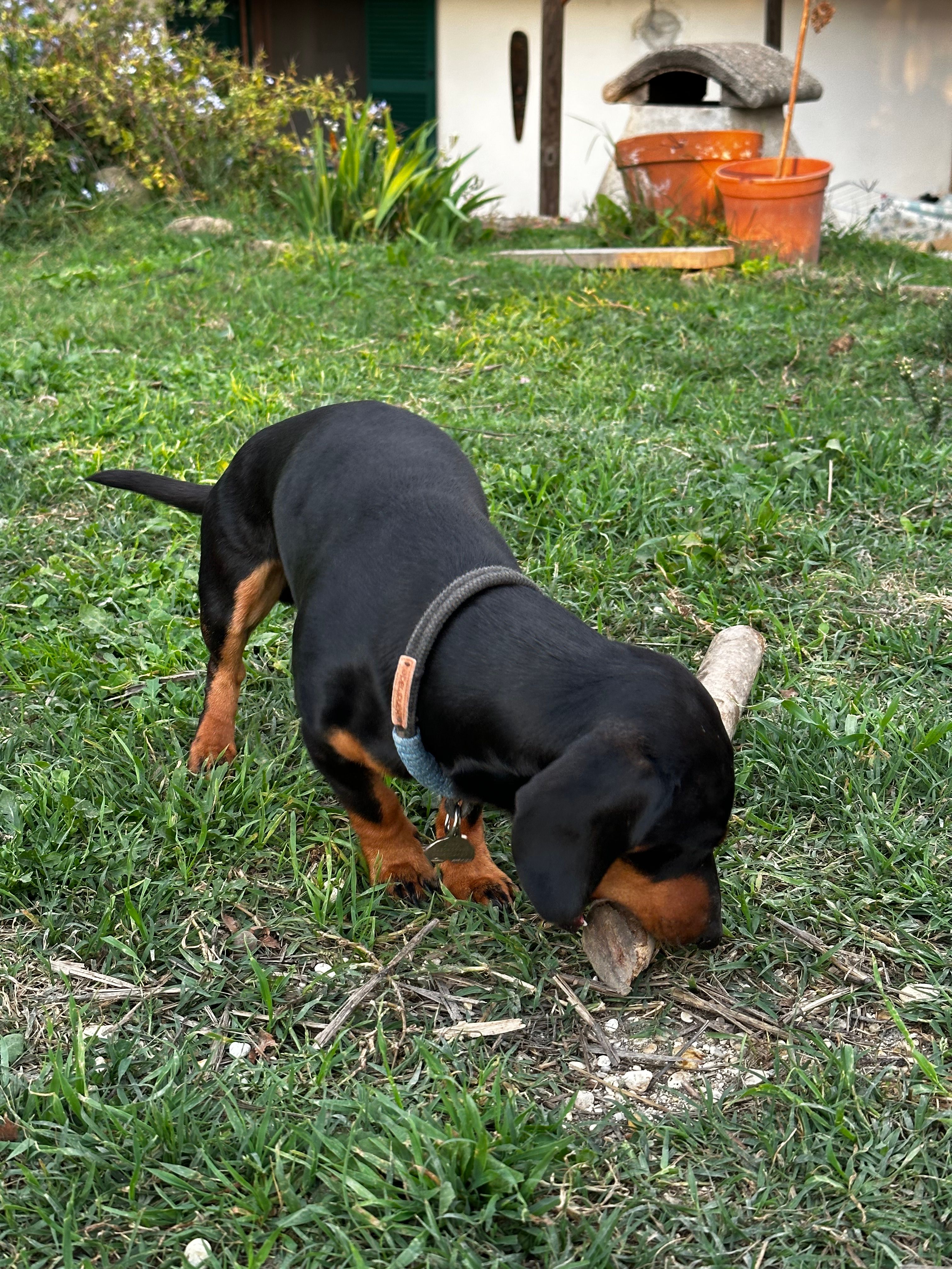image-10