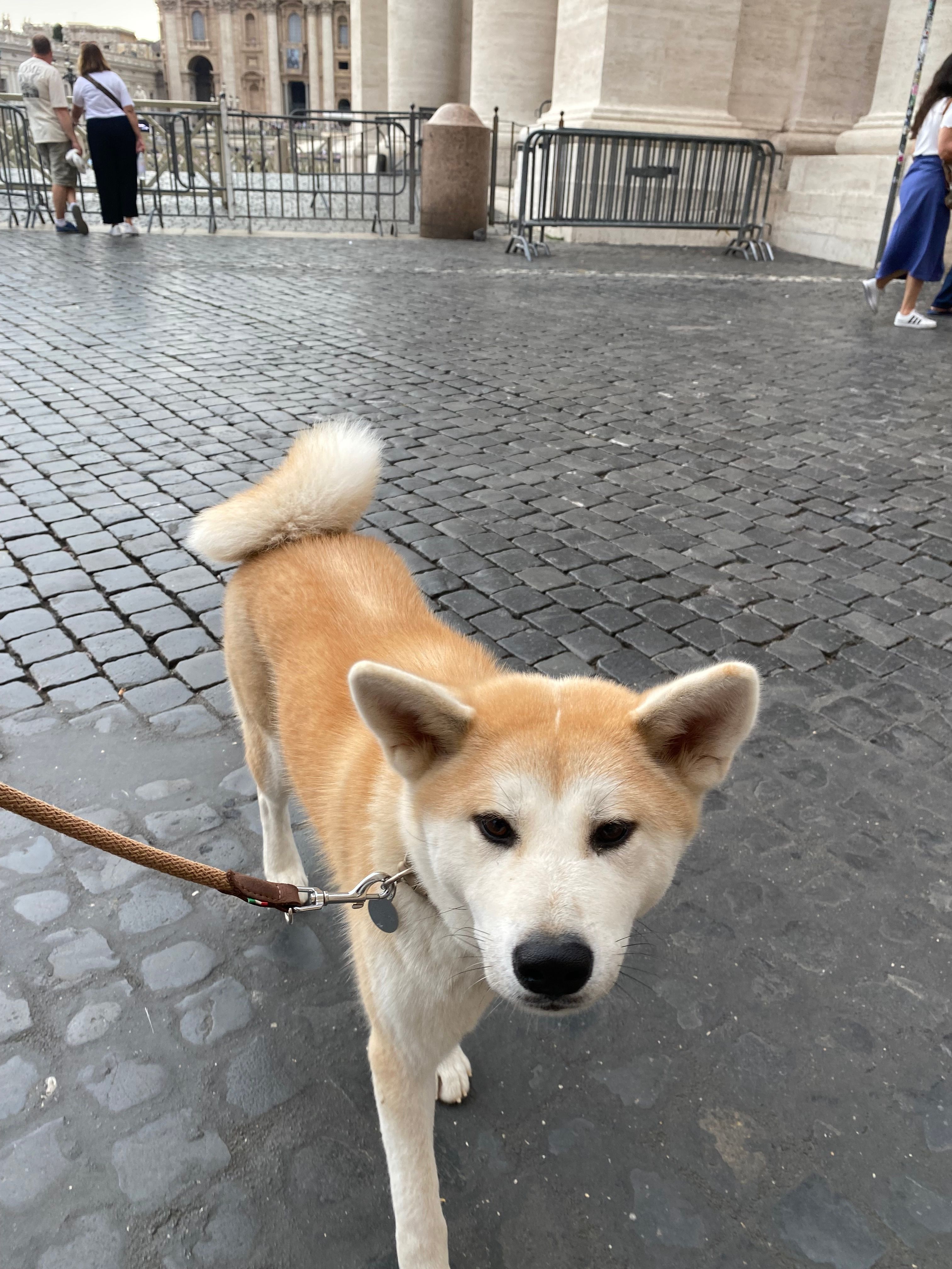 image-6