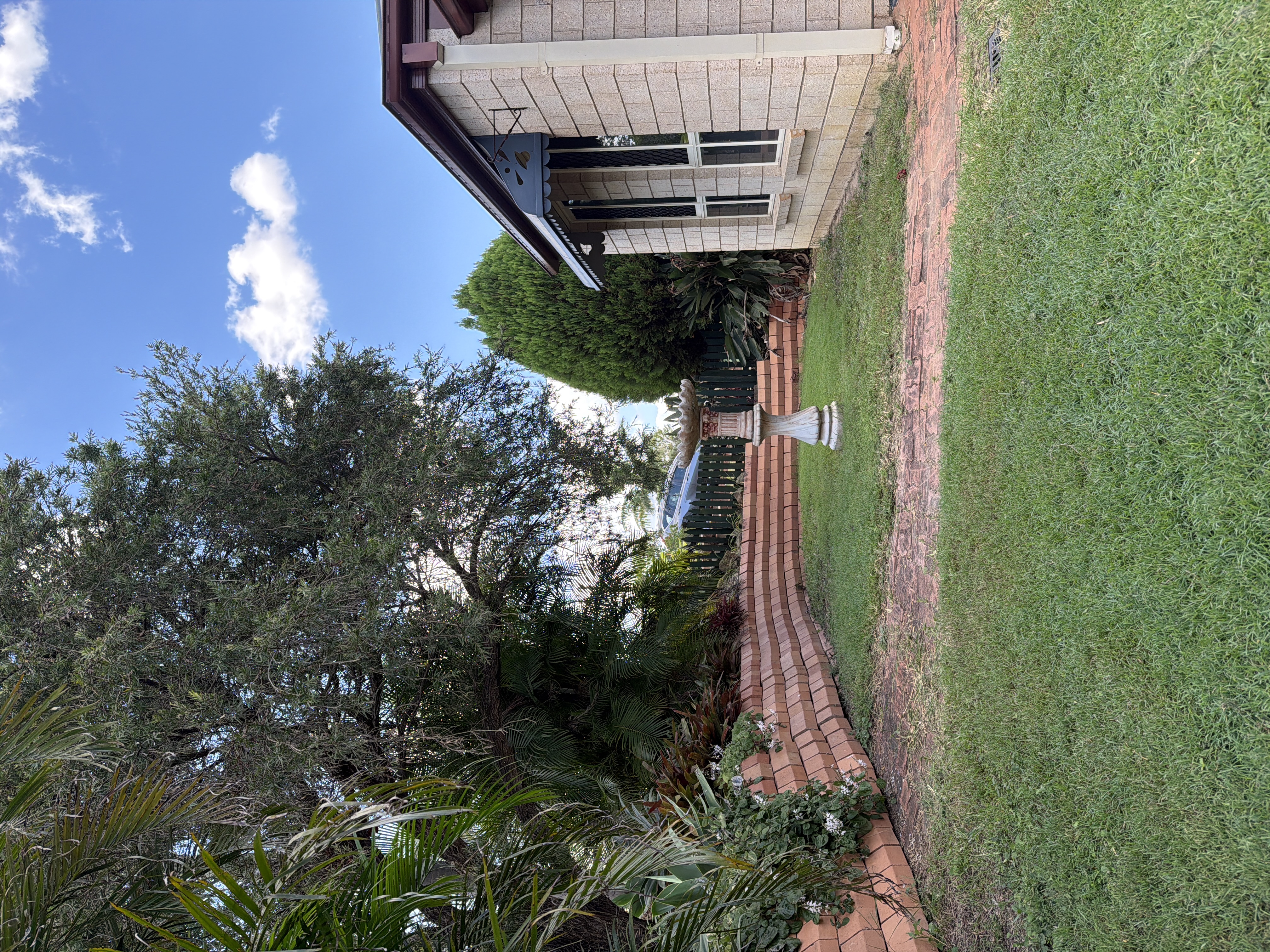 image-19