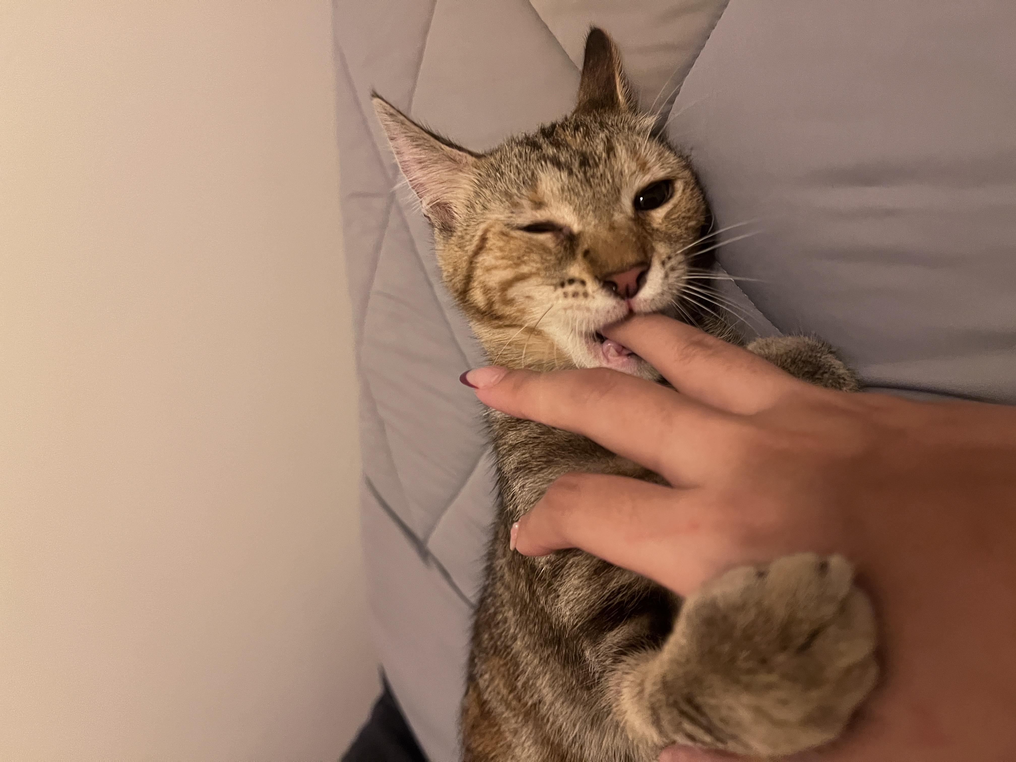 image-6
