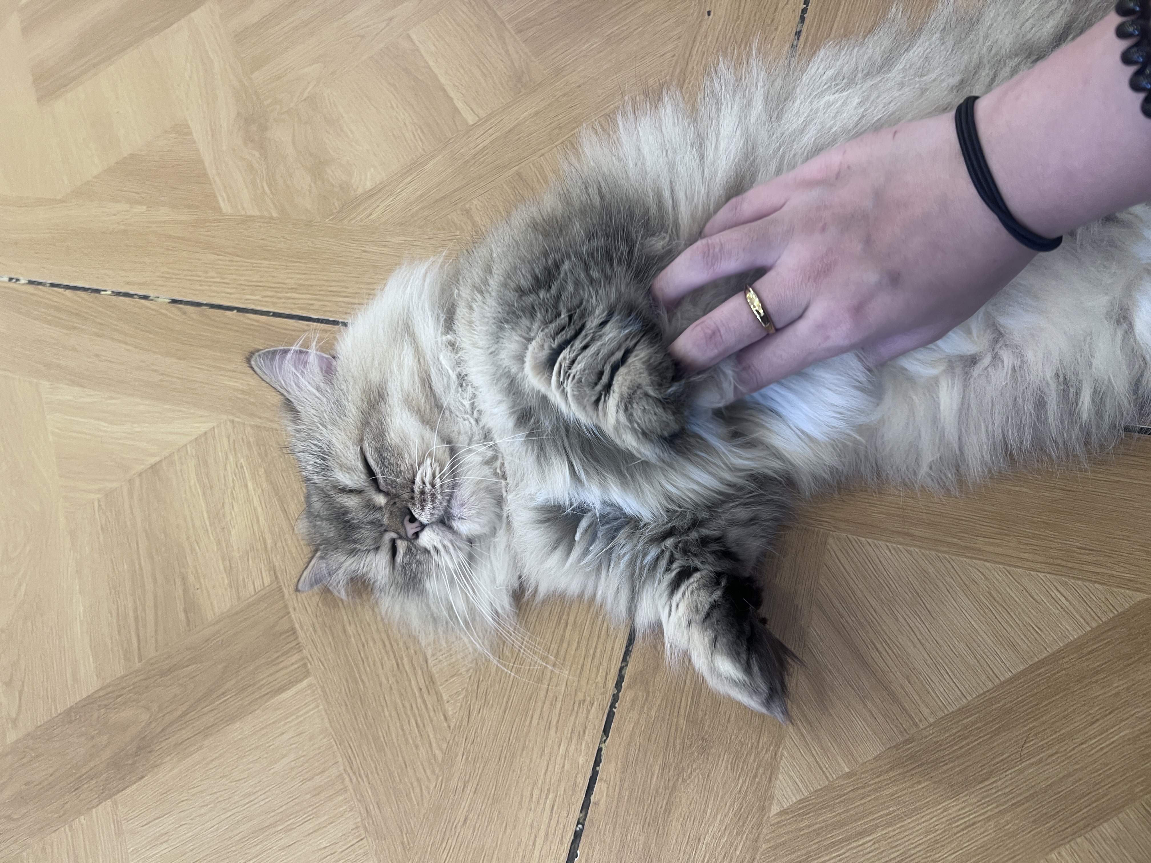 image-7