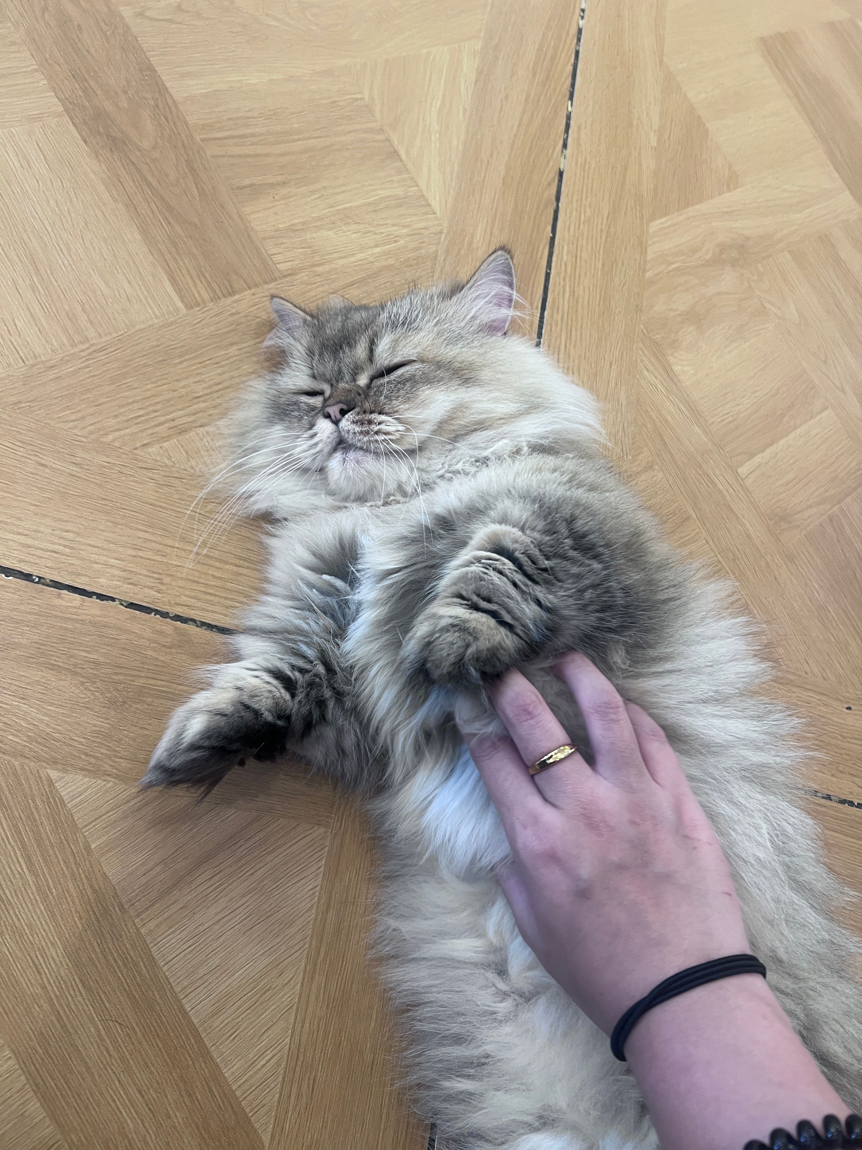 image-7