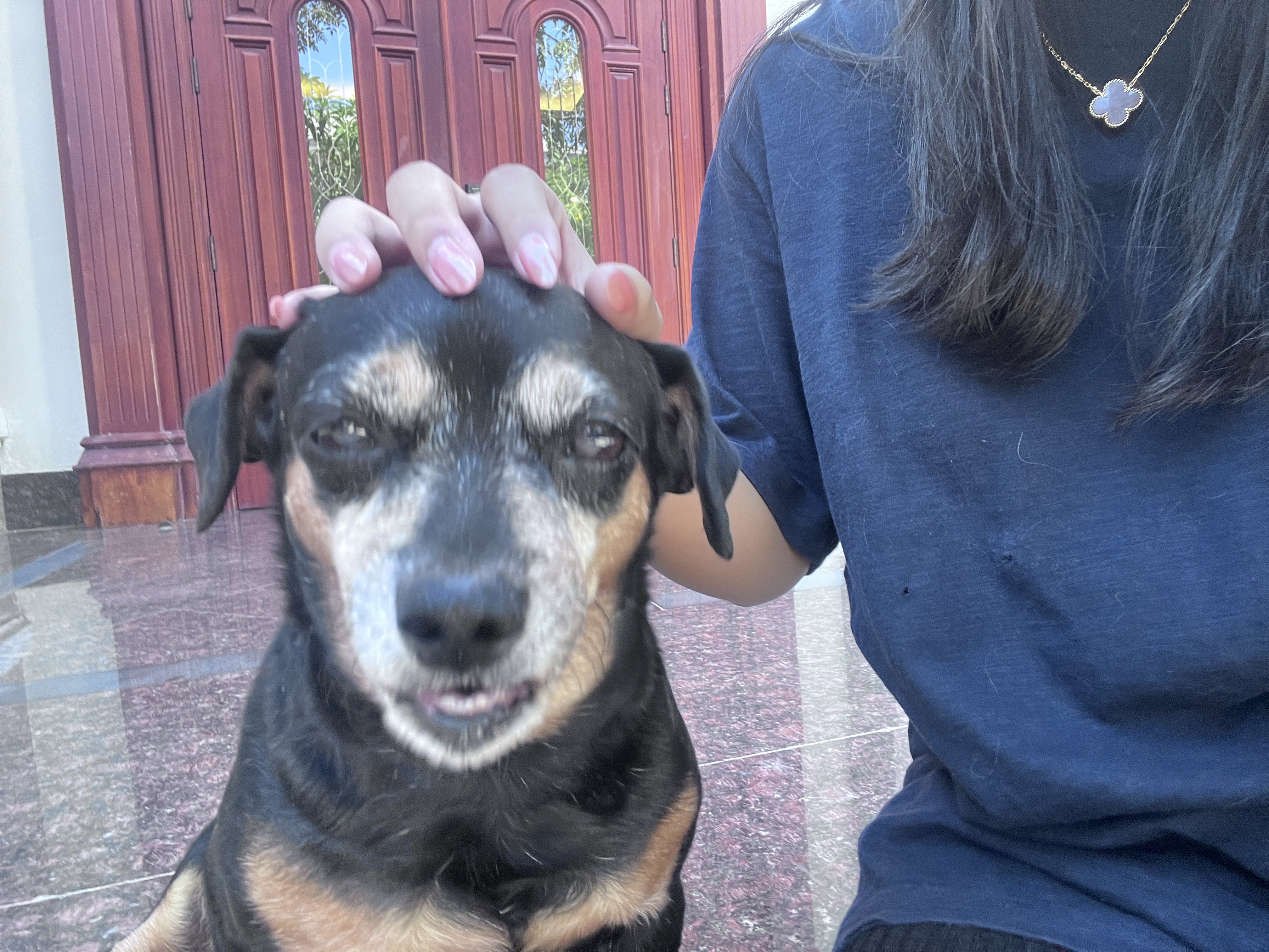 image-10