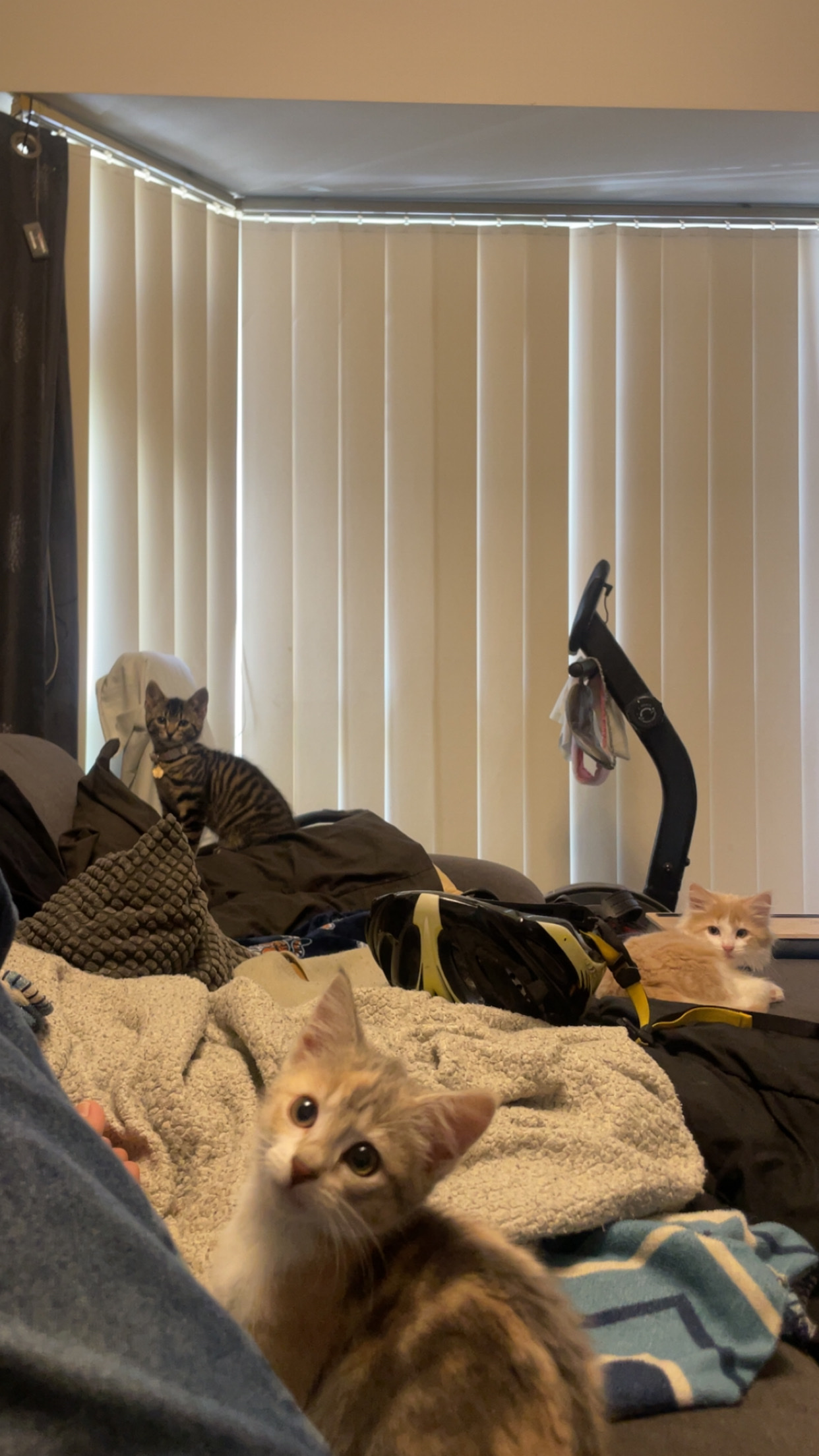image-4