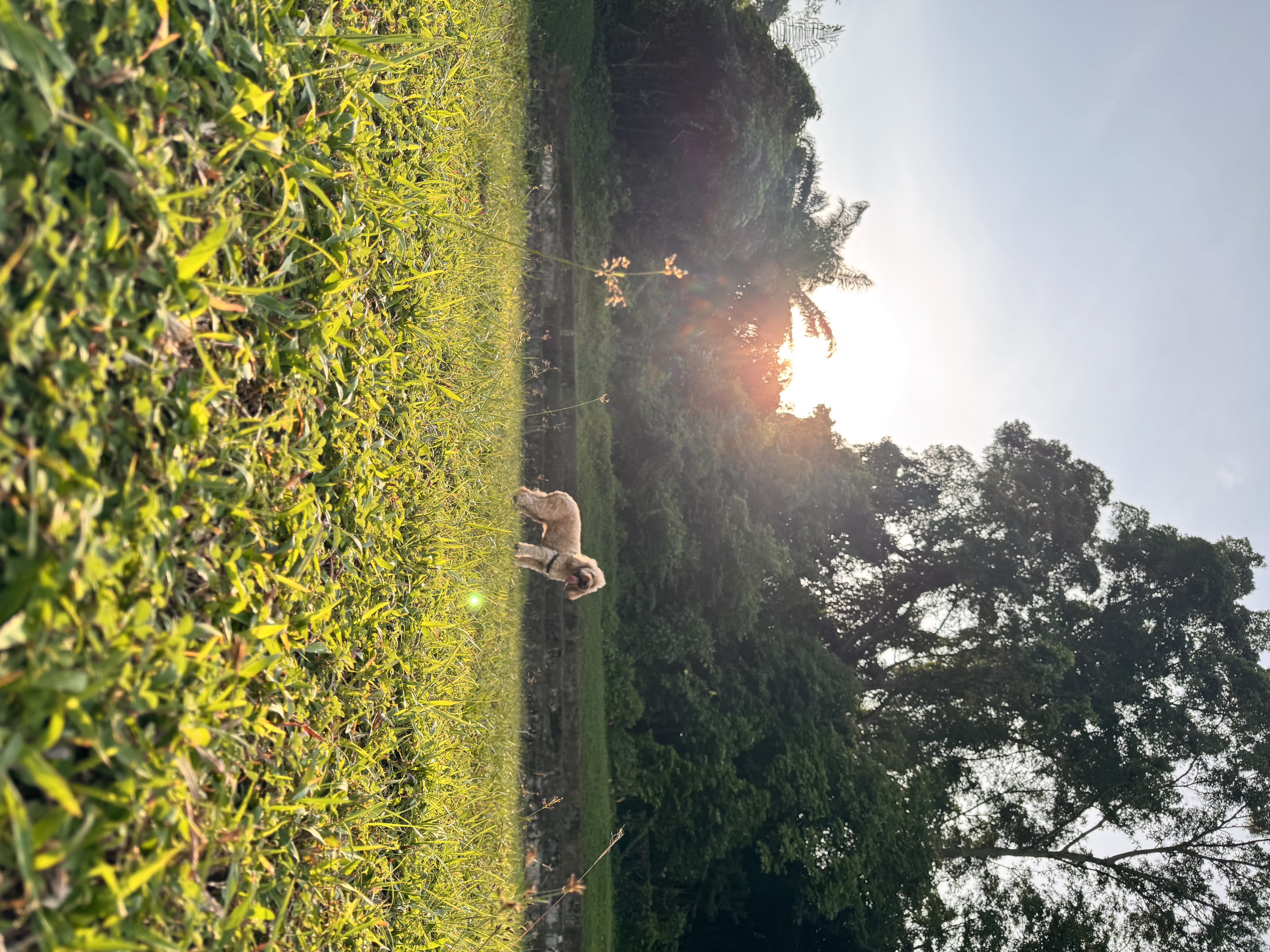 image-6