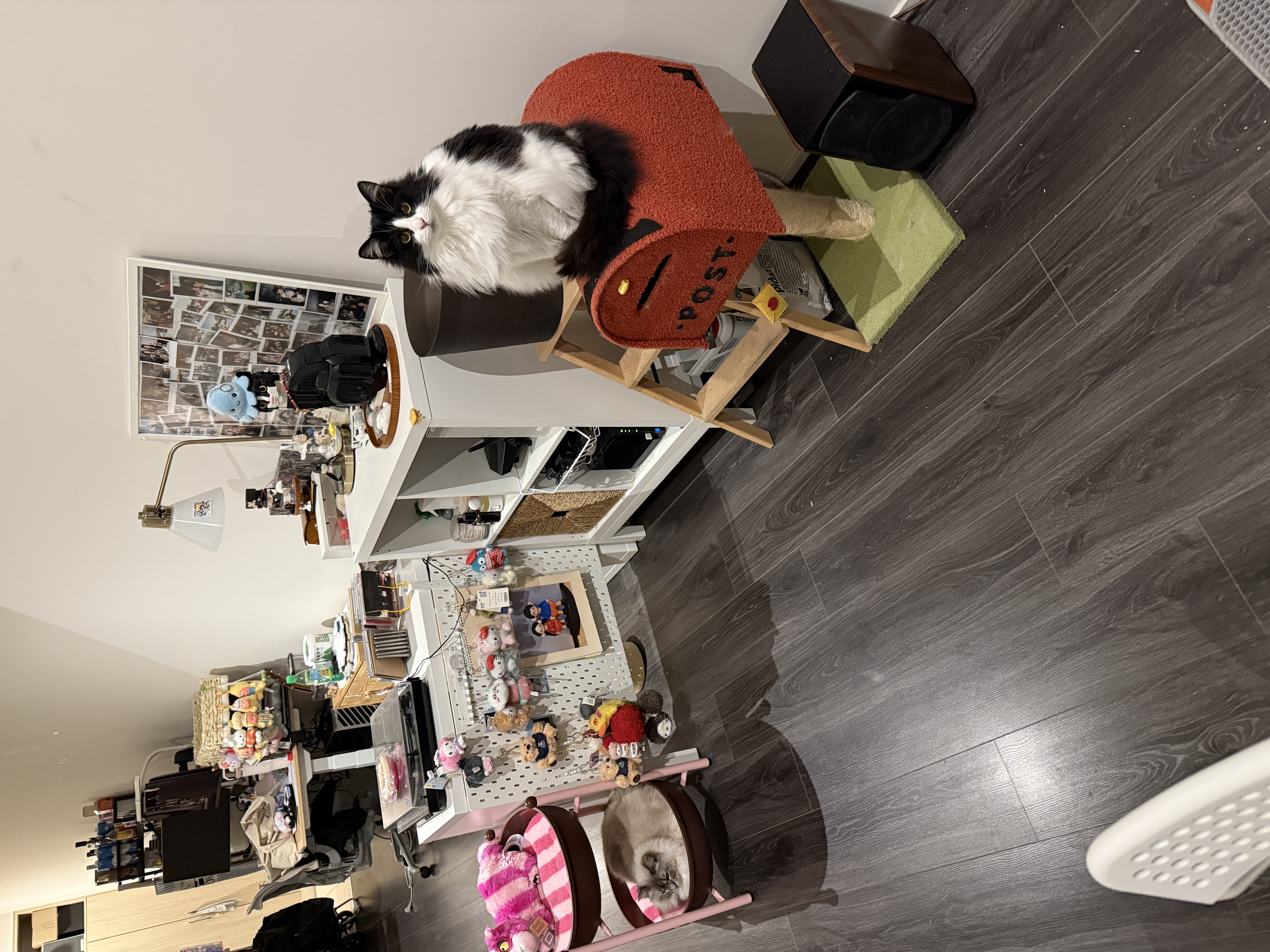 image-15