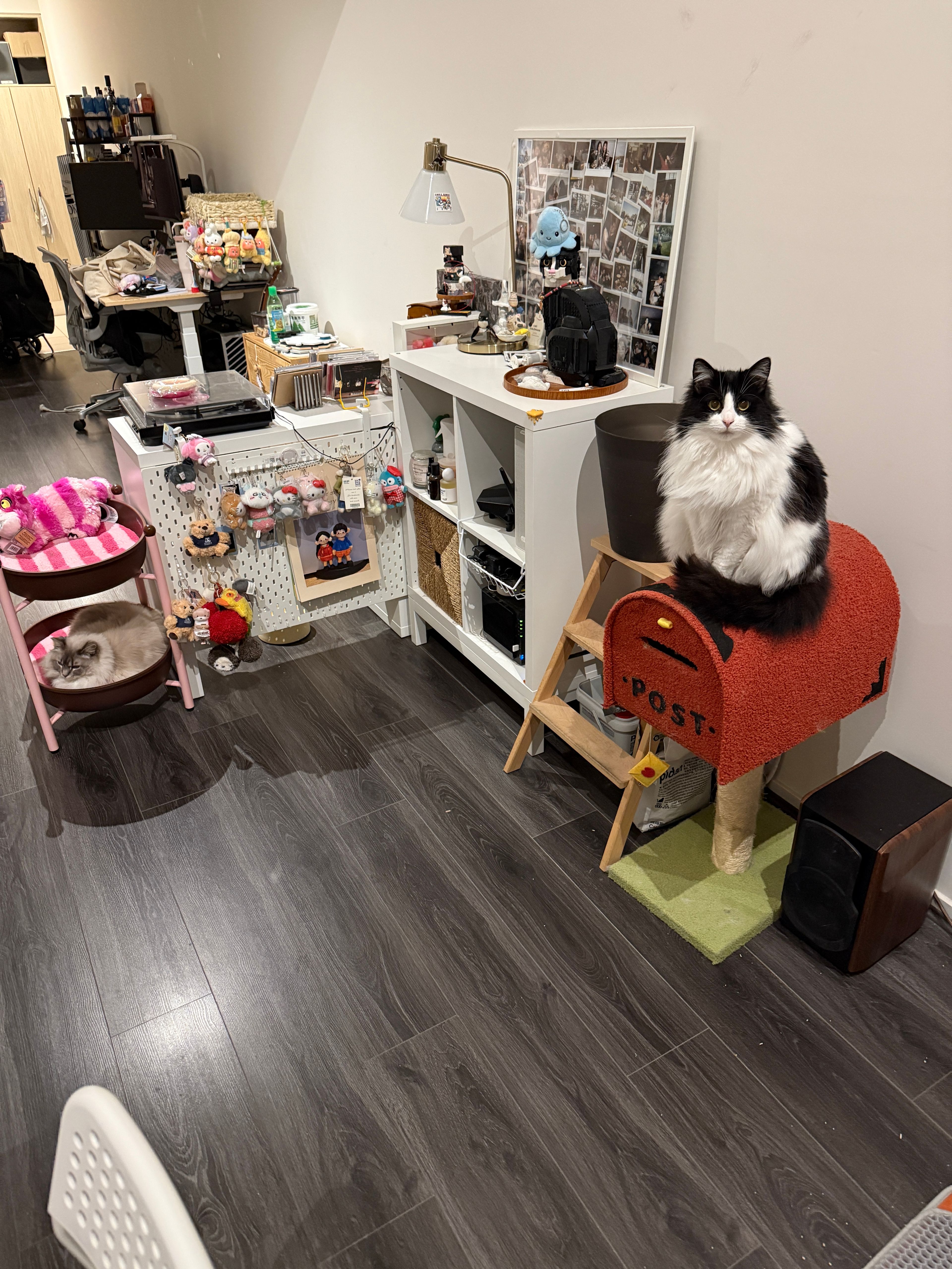 image-15