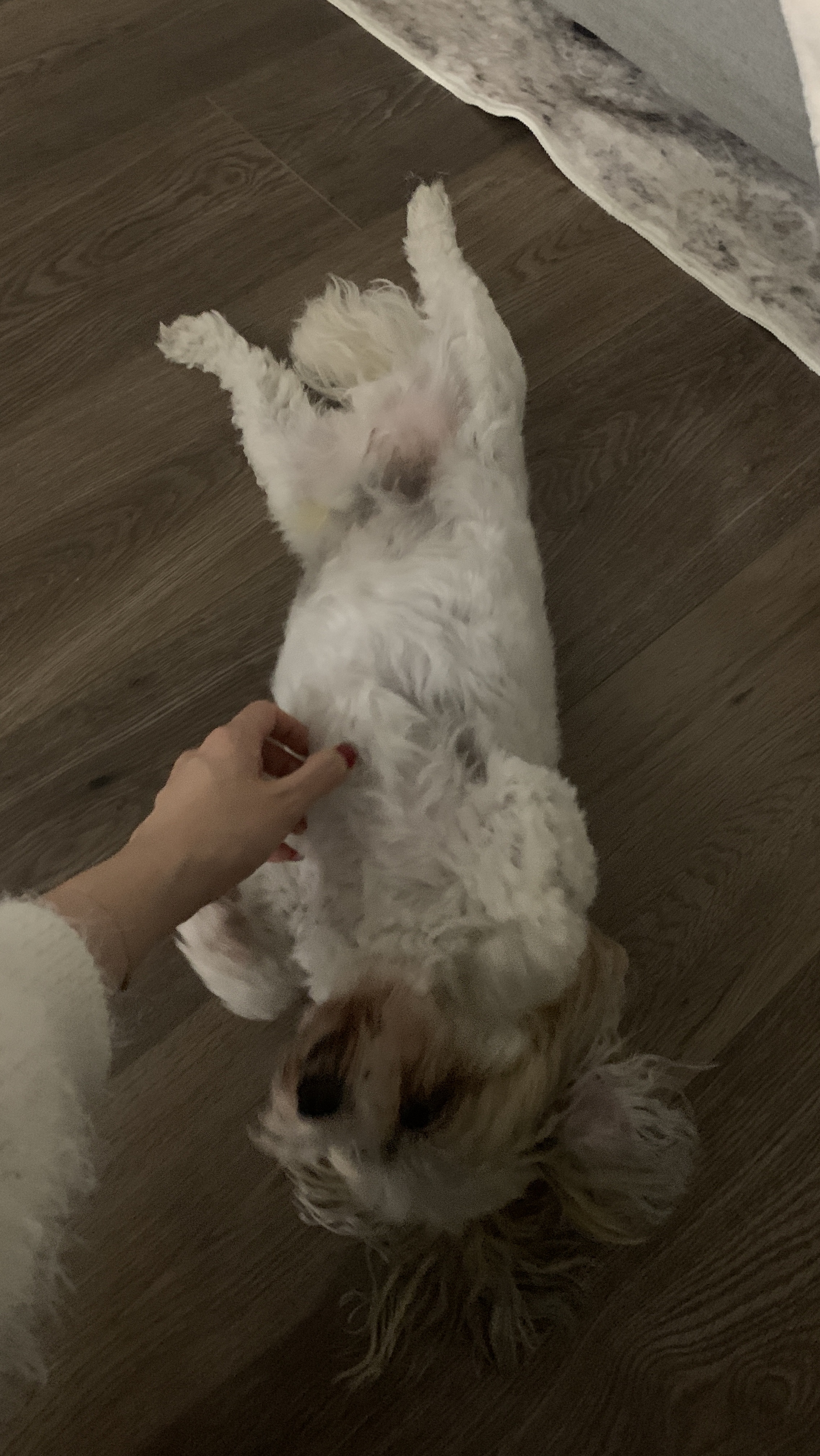 image-4