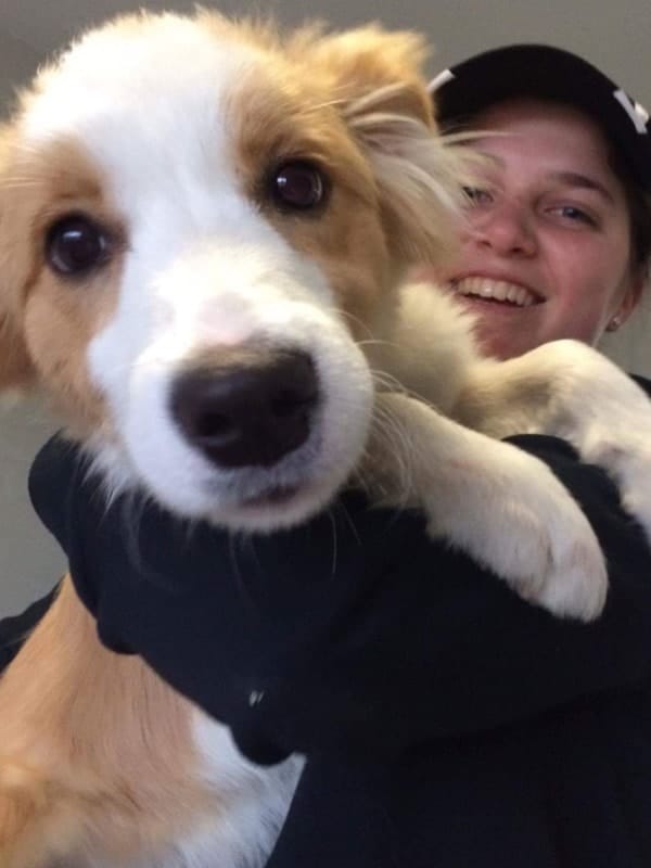 image-2