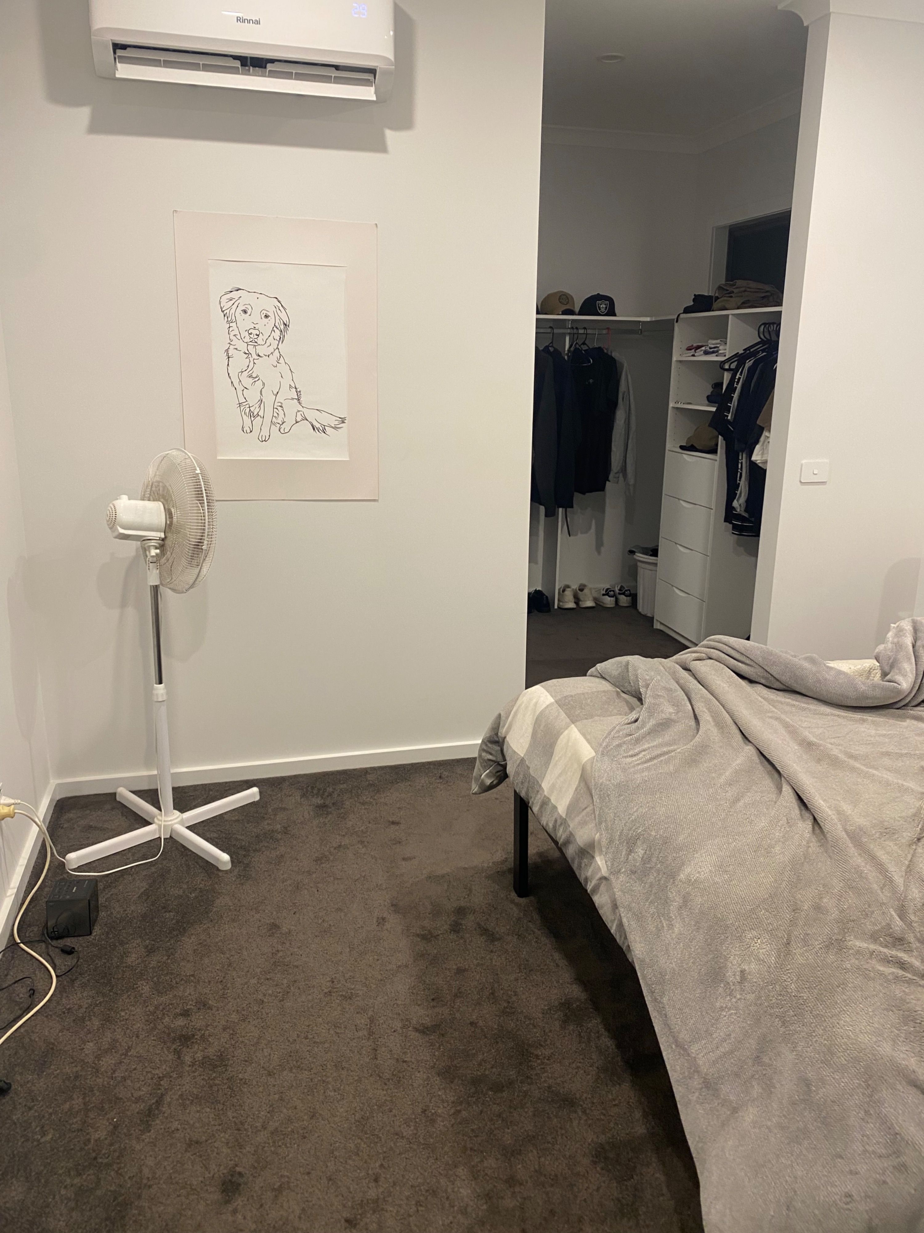 image-14