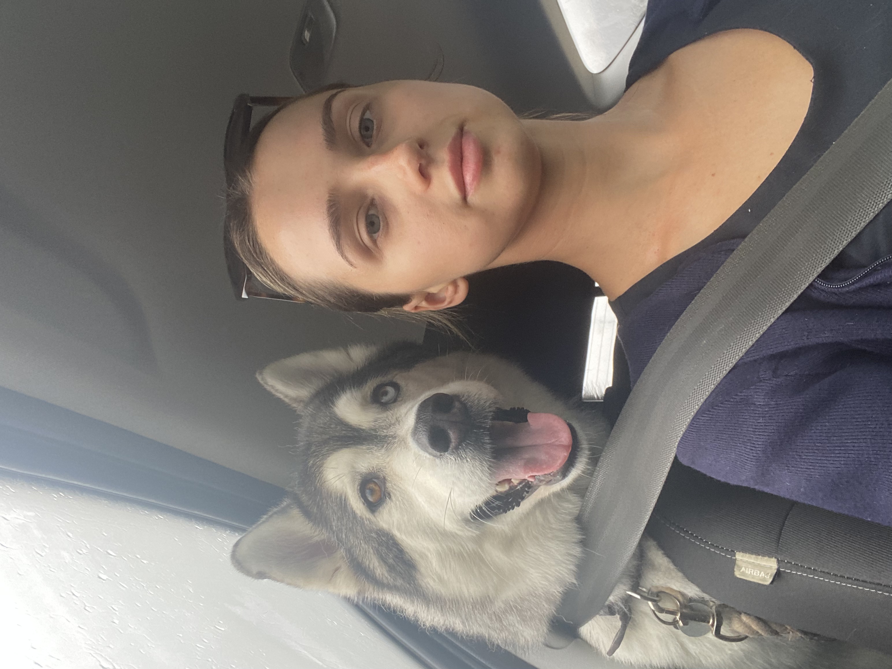 image-8