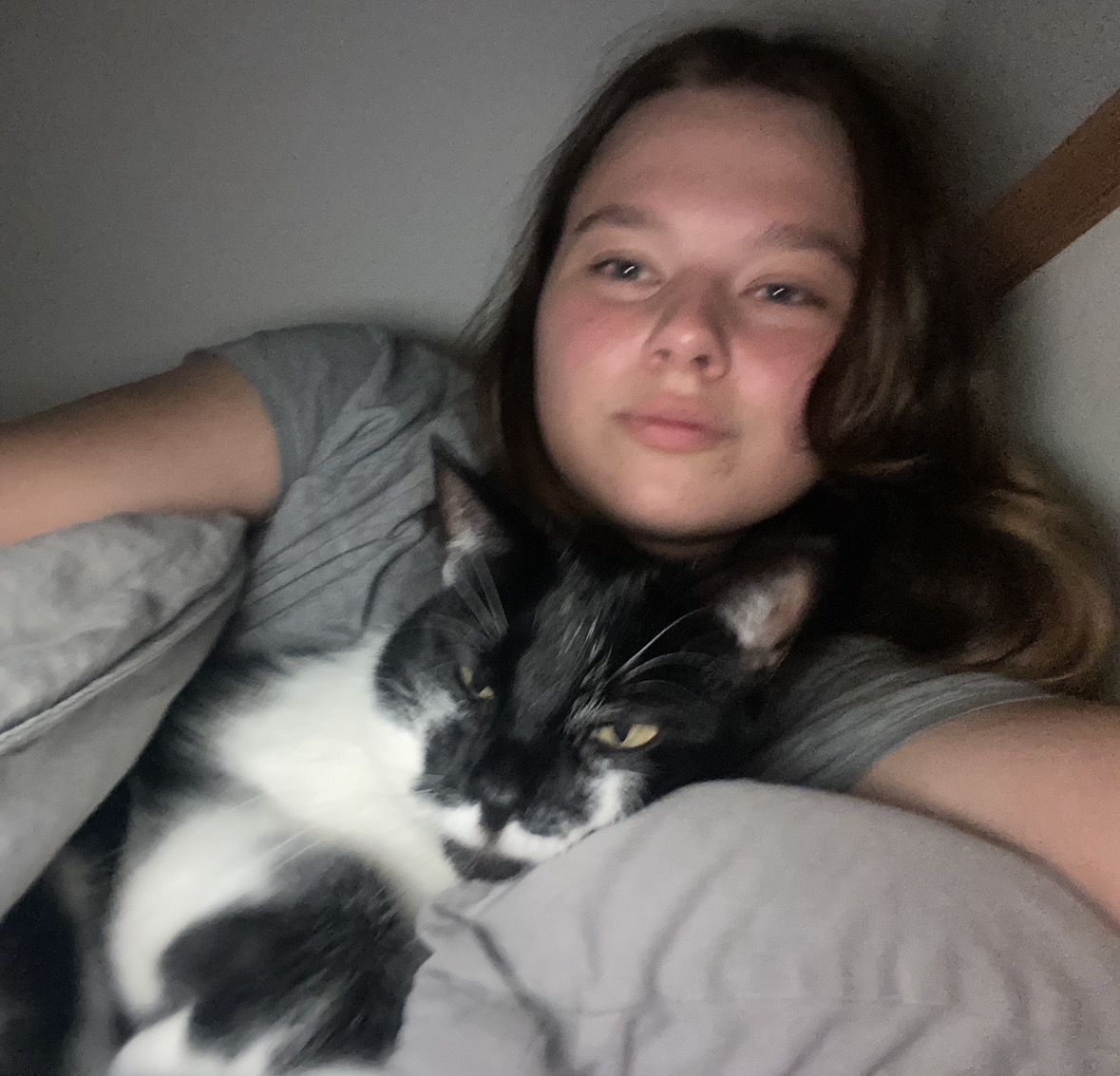 image-6