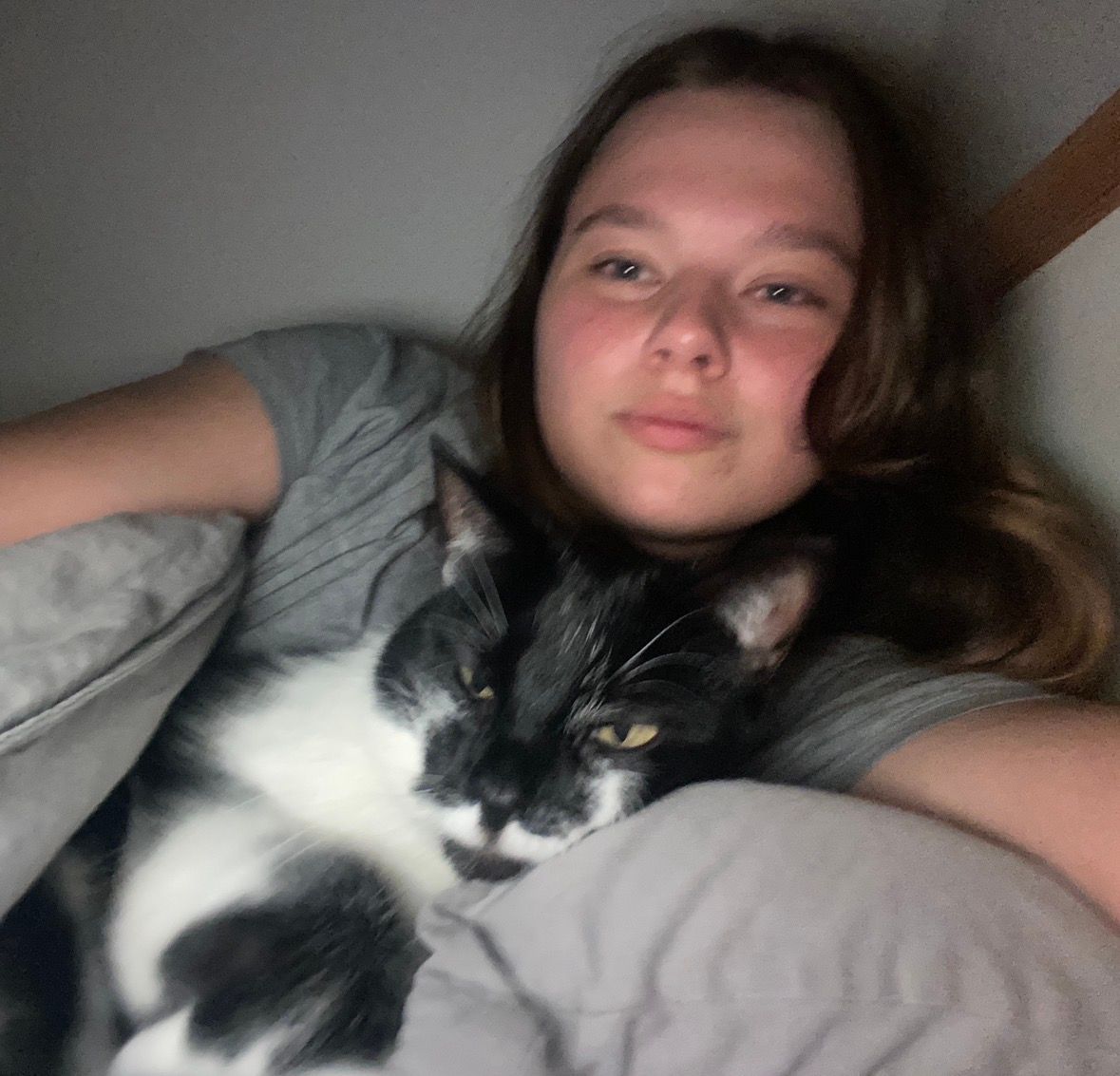 image-6