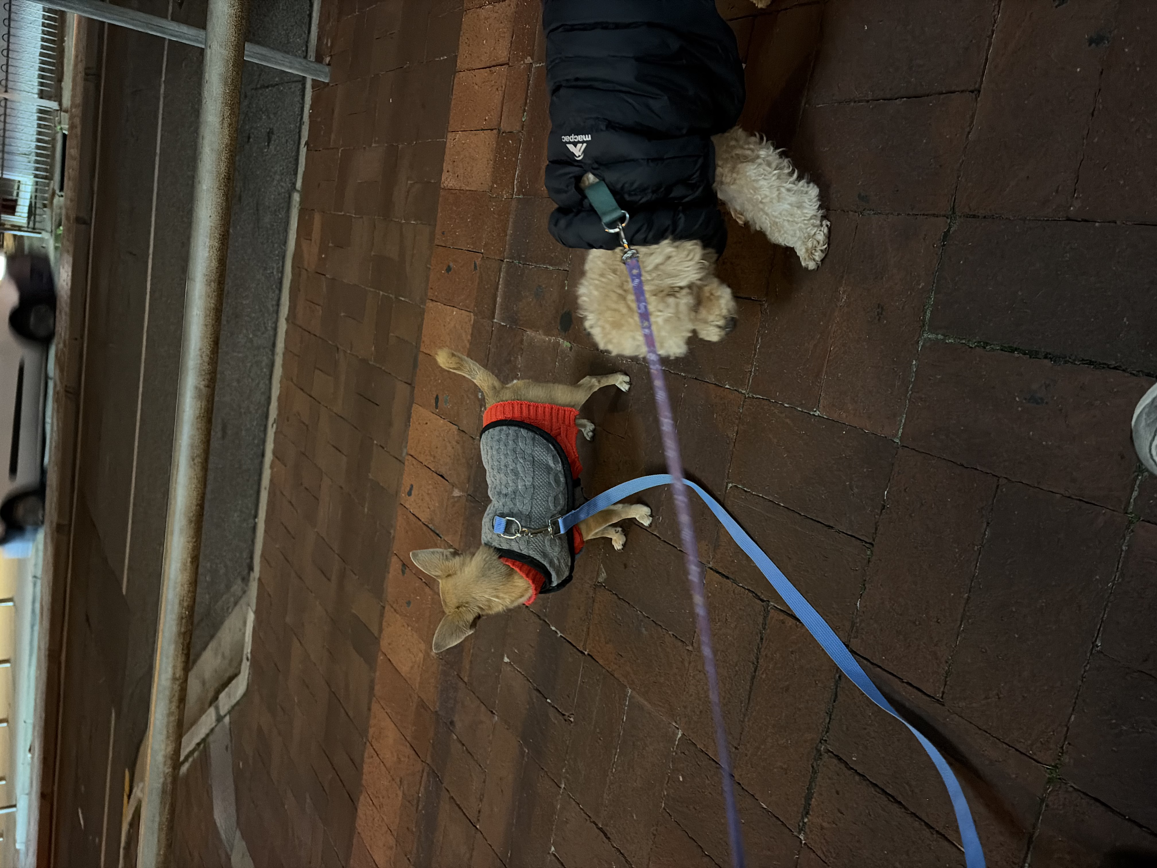 image-17