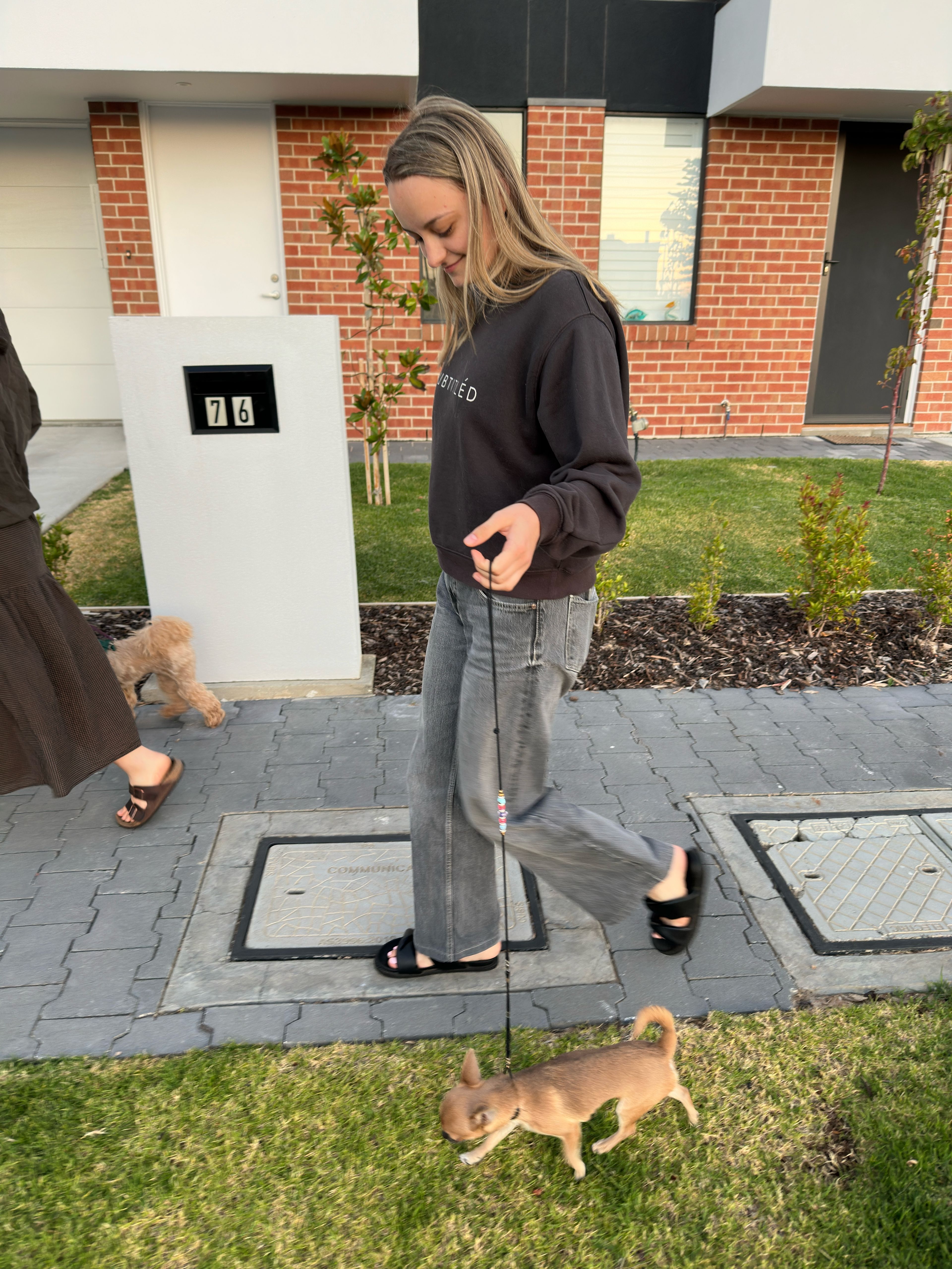 image-15